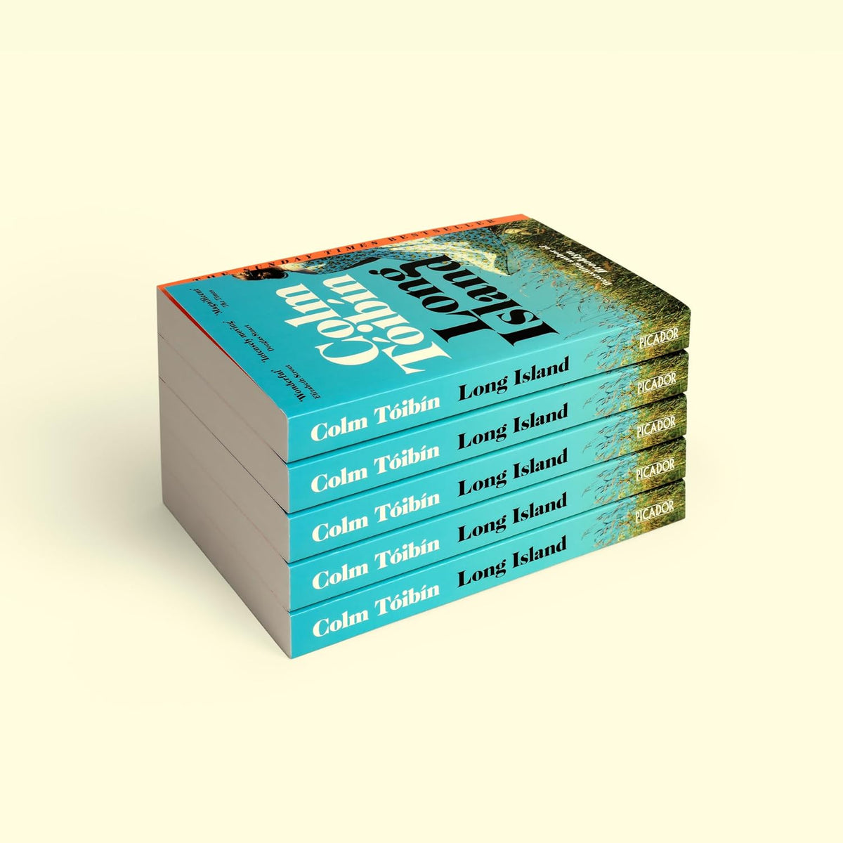 Long Island by Colm Tóibín, the cover at an angle, picture 4