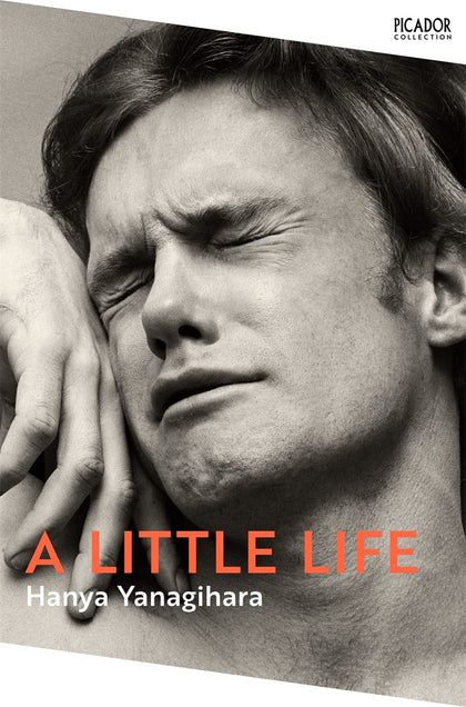A Little Life Pan MacMillan