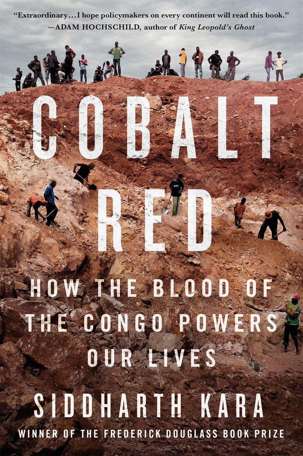 Cobalt Red St. Martin's Press