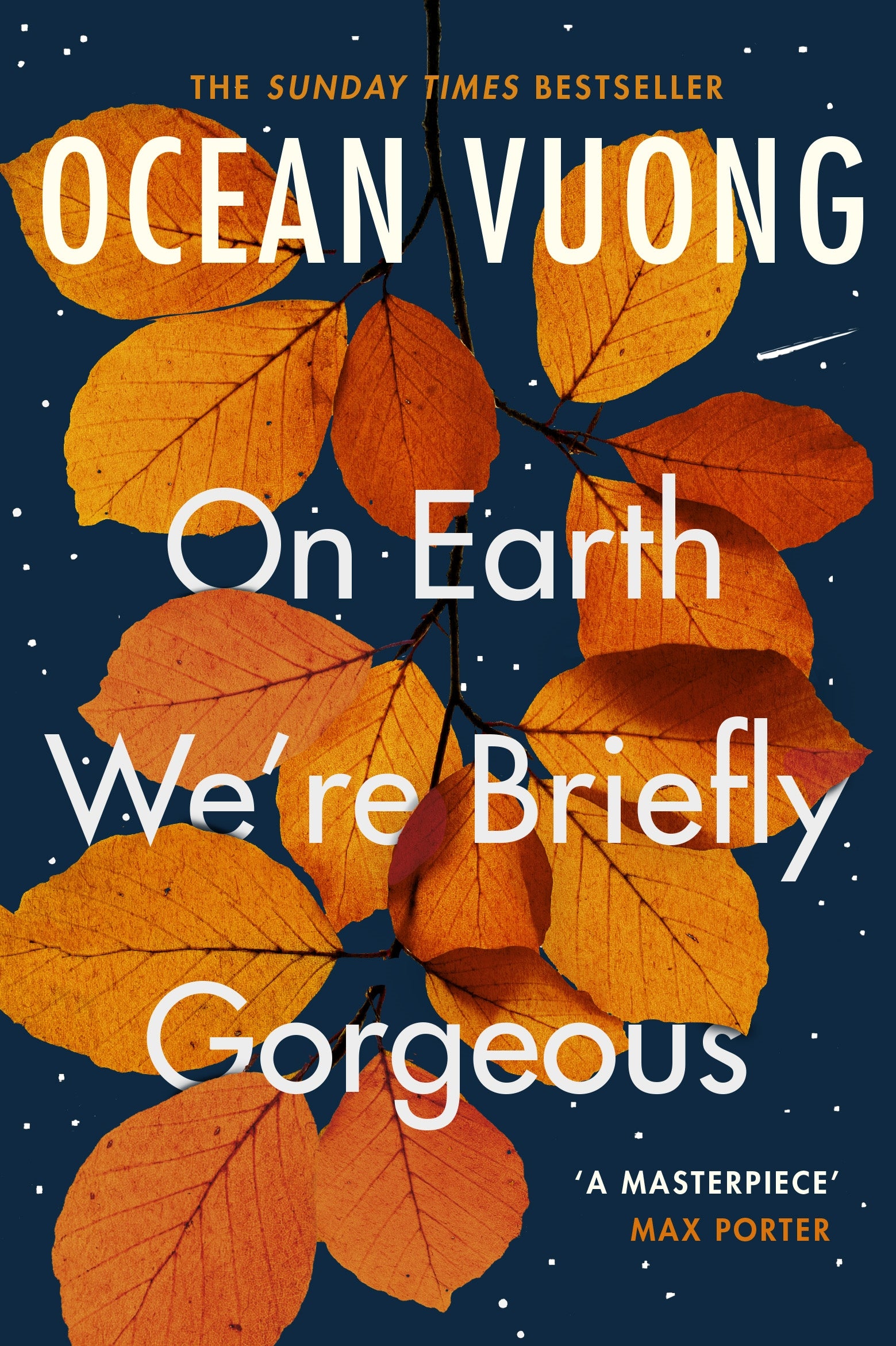 On Earth We're Briefly Gorgeous Vintage