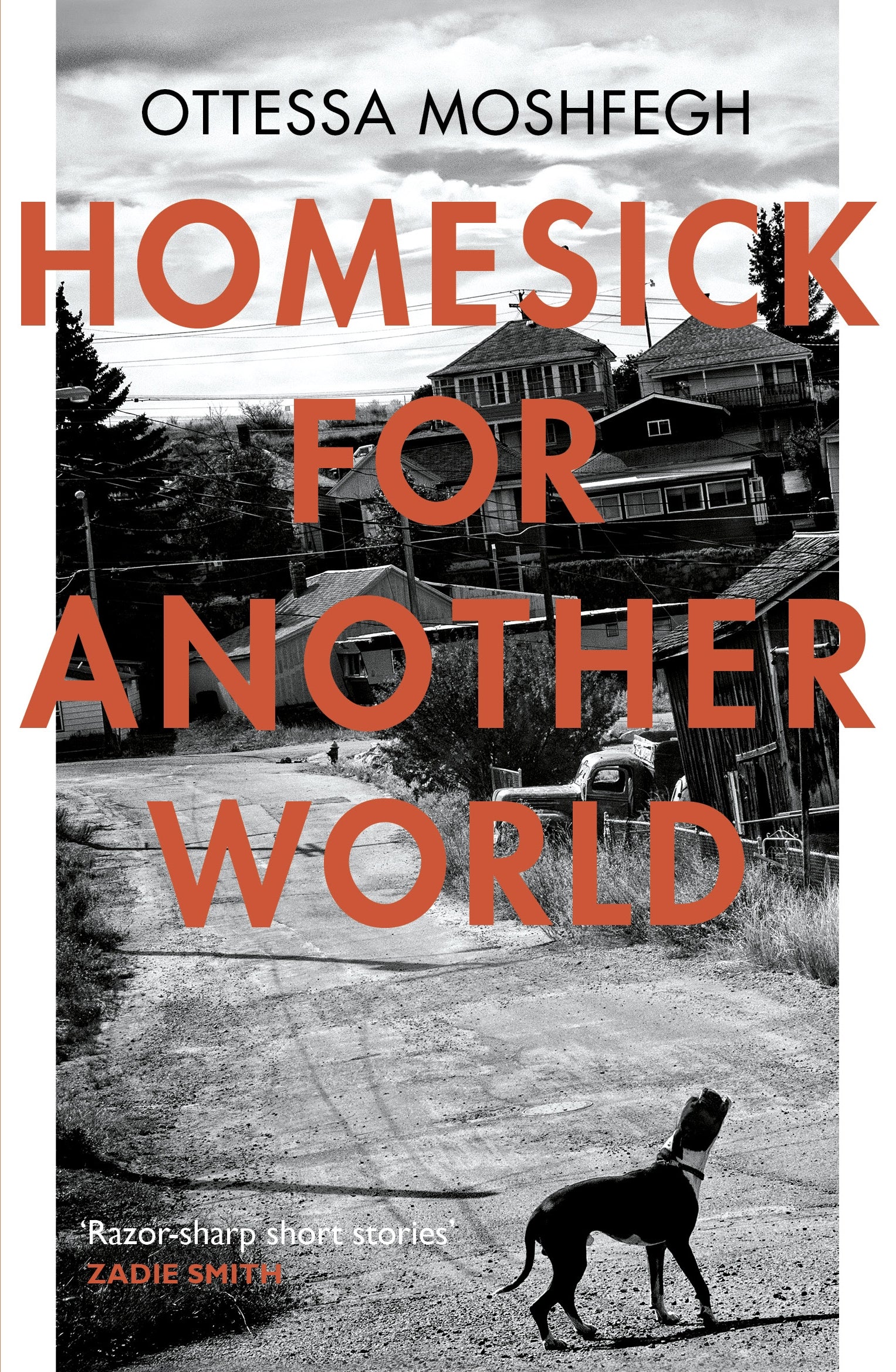 Homesick For Another World BIBLIONEPAL