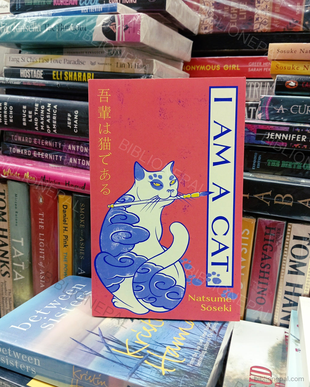 Photoshoot of I Am a Cat by Natsume Sōseki