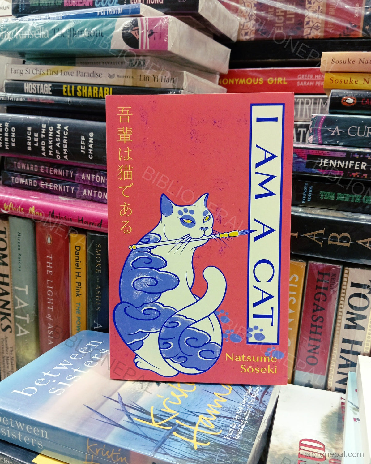 Photoshoot of I Am a Cat by Natsume Sōseki