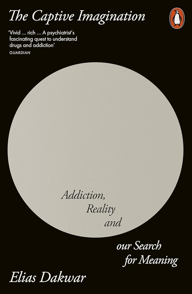 The Captive Imagination: Addiction, Reality and our Search for Meaning cover image