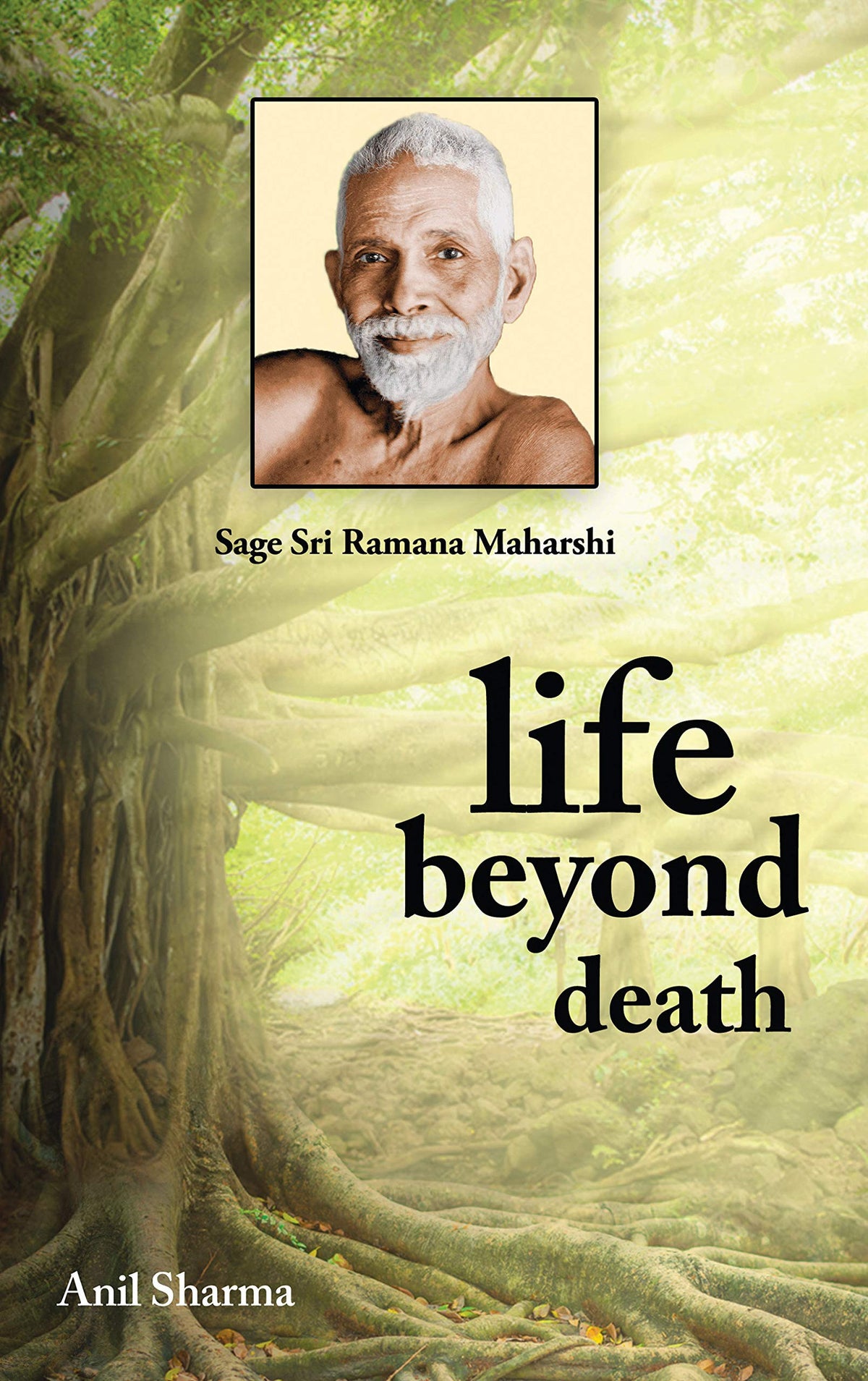Life Beyond Death by Anil Sharma