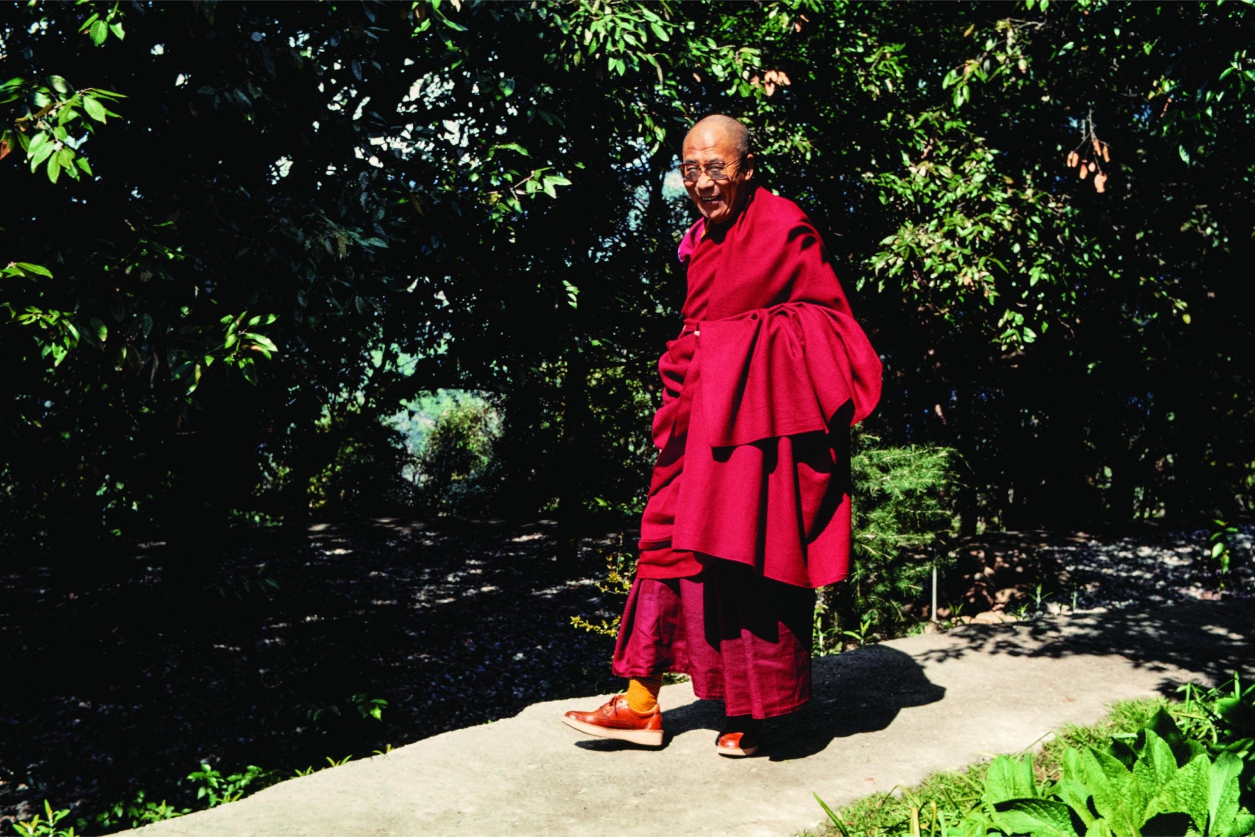 Dalai Lama Roli Books