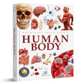 Knowledge Encyclopedia: Human Body cover image