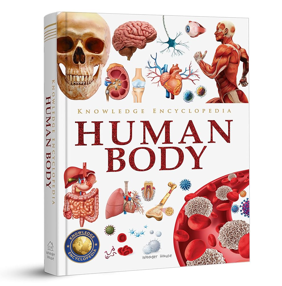 Knowledge Encyclopedia: Human Body cover image