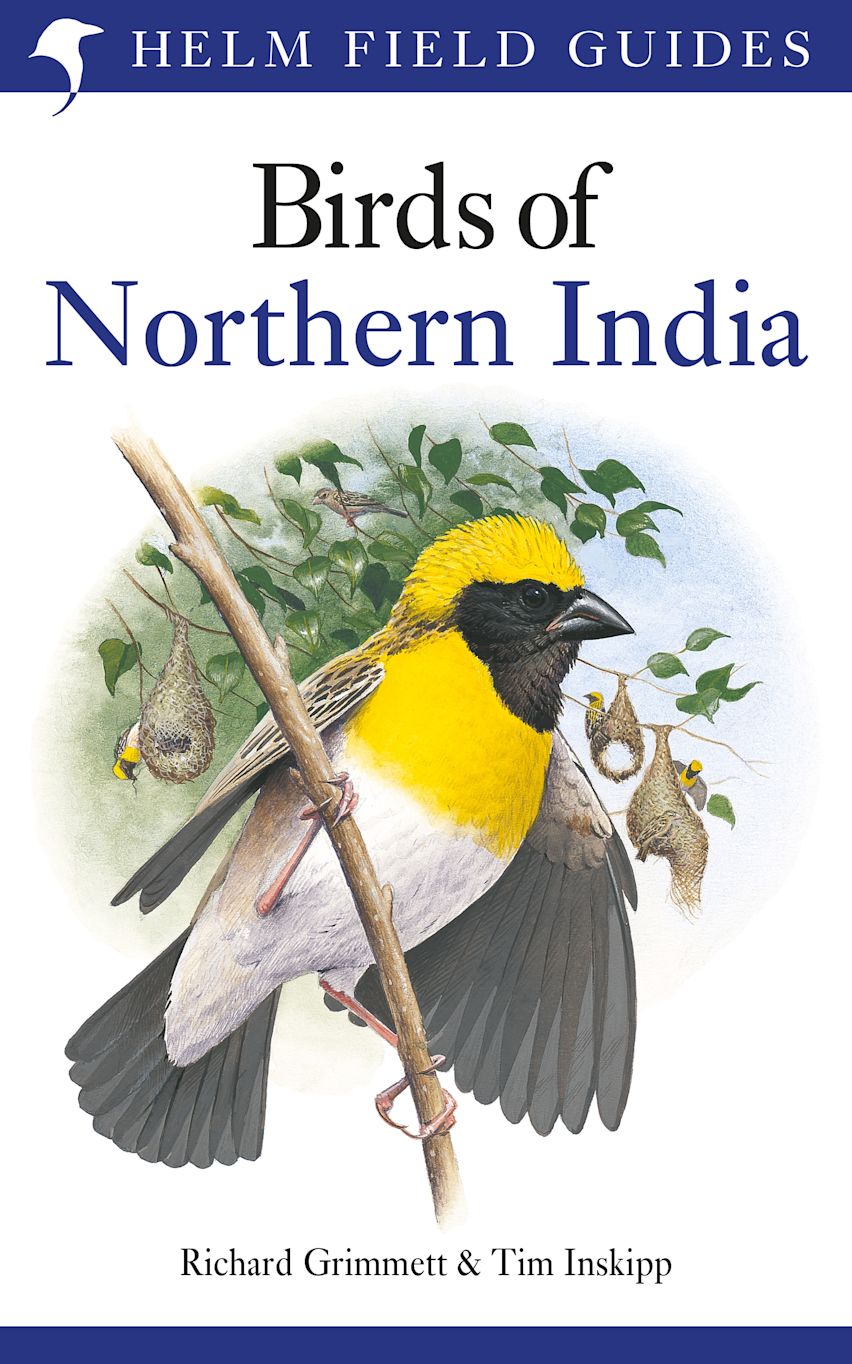 Birds of Northern India Bloomsbury