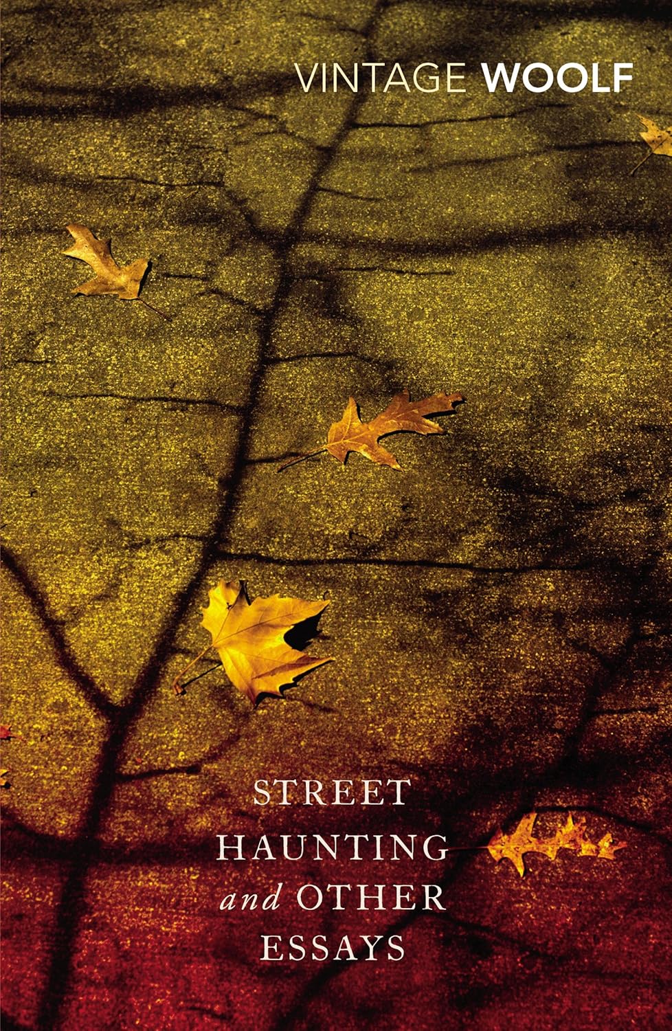 Street Haunting and Other Essays Vintage