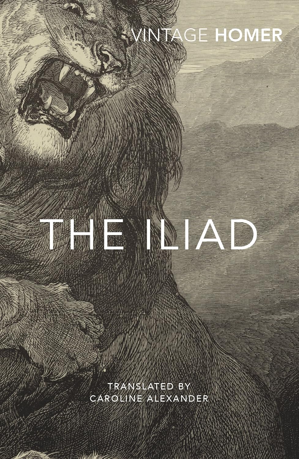 The Iliad Multiple Publishers Vintage