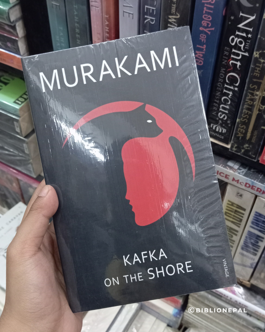 The Wind-Up Bird Chronicle Vintage