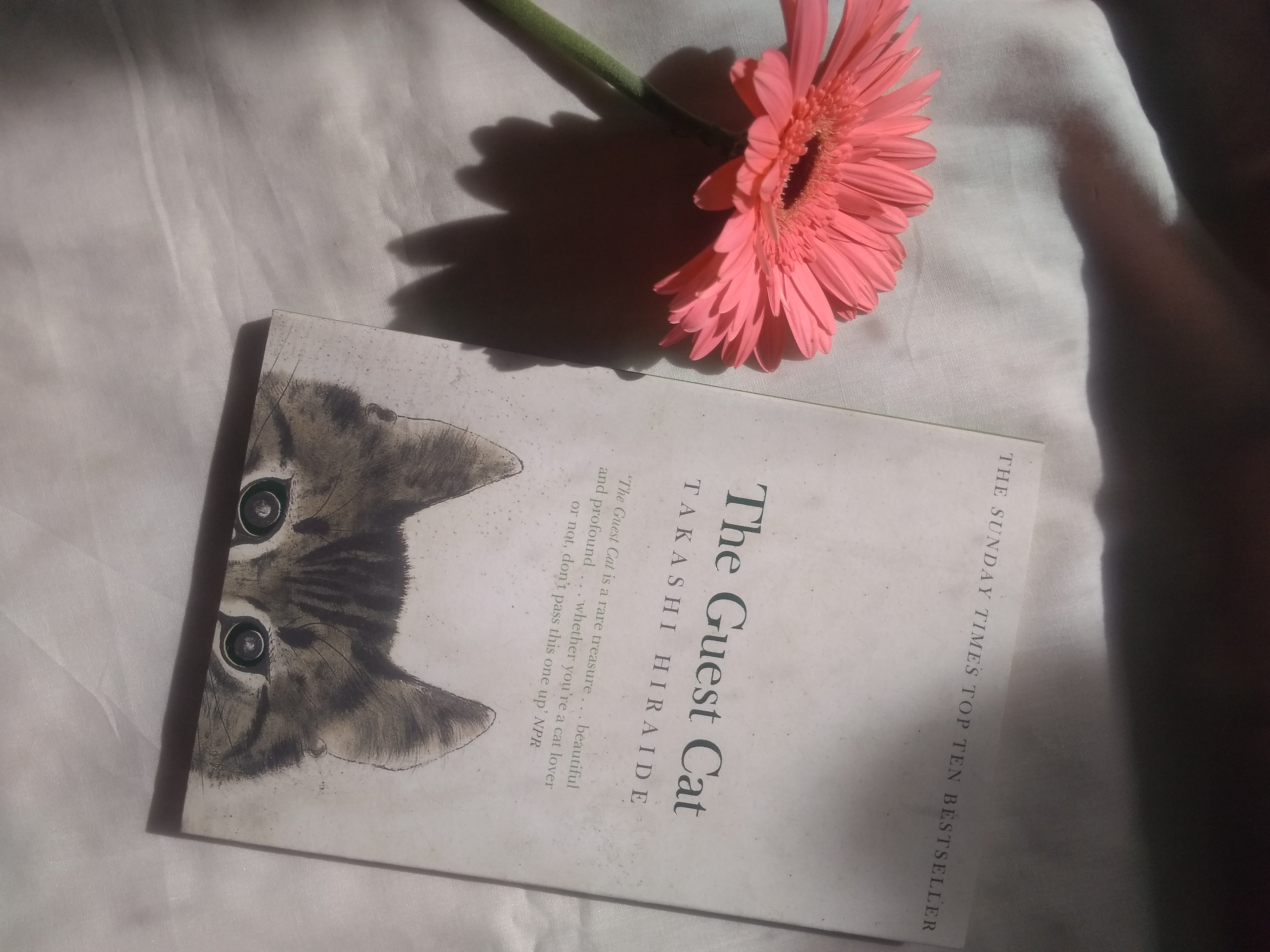 The Guest Cat BIBLIONEPAL