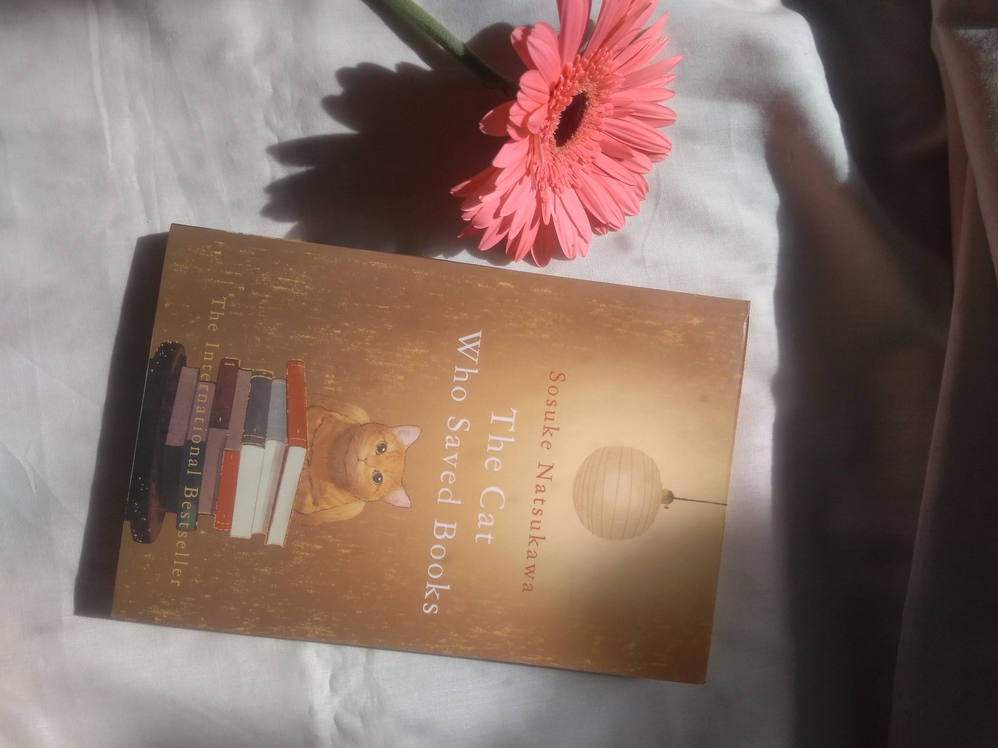 The Cat Who Saved Books Pan MacMillan