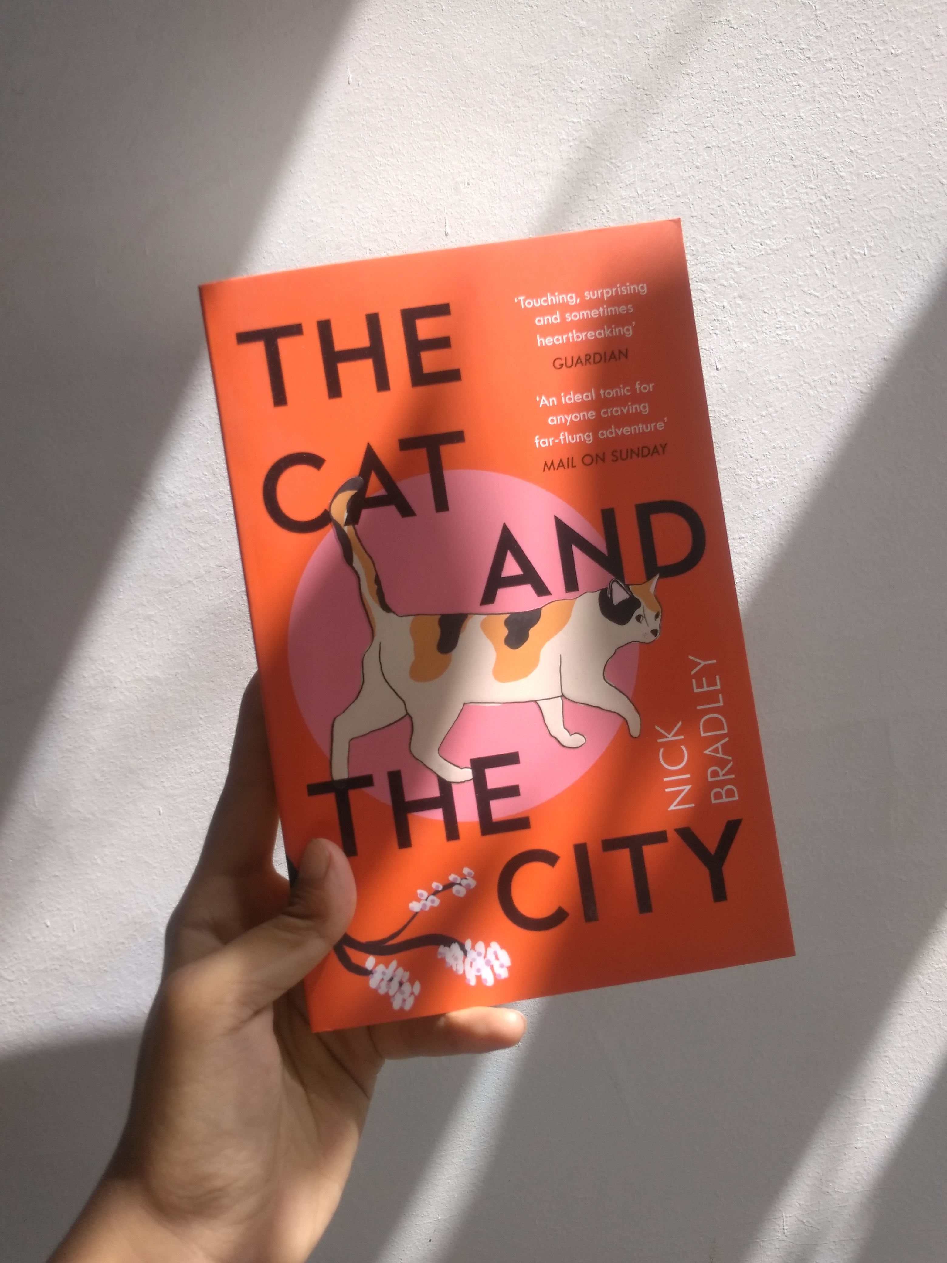 The Cat and The City Atlantic Books