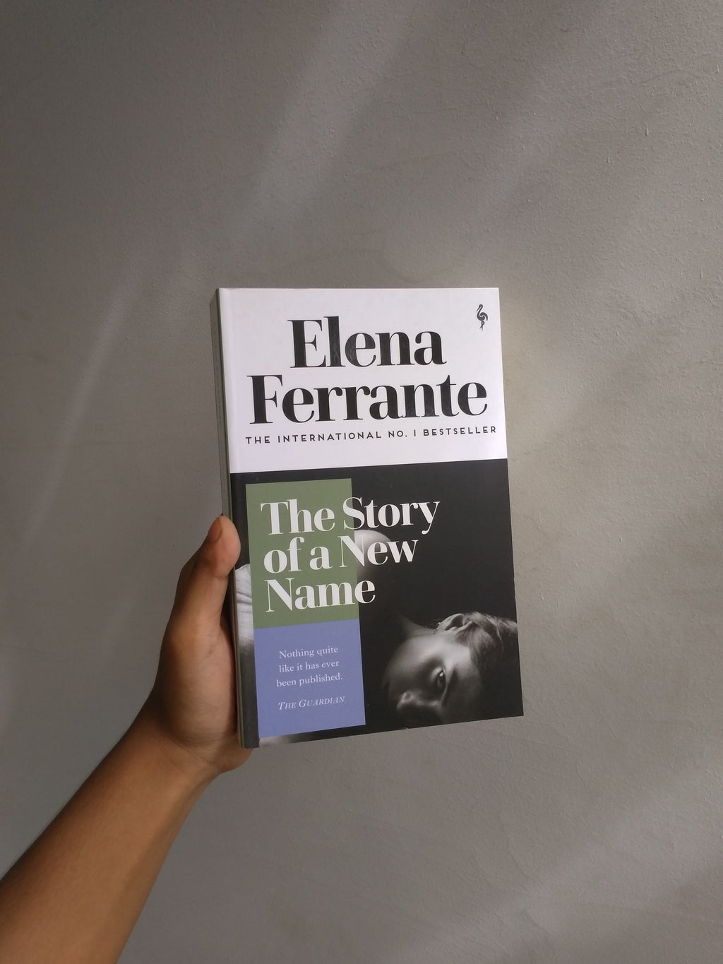 The Story of a New Name Penguin random house