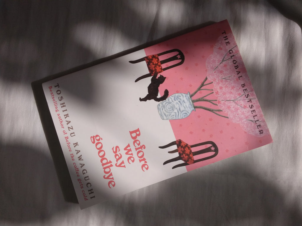 Before We Say Goodbye Pan Macmillan