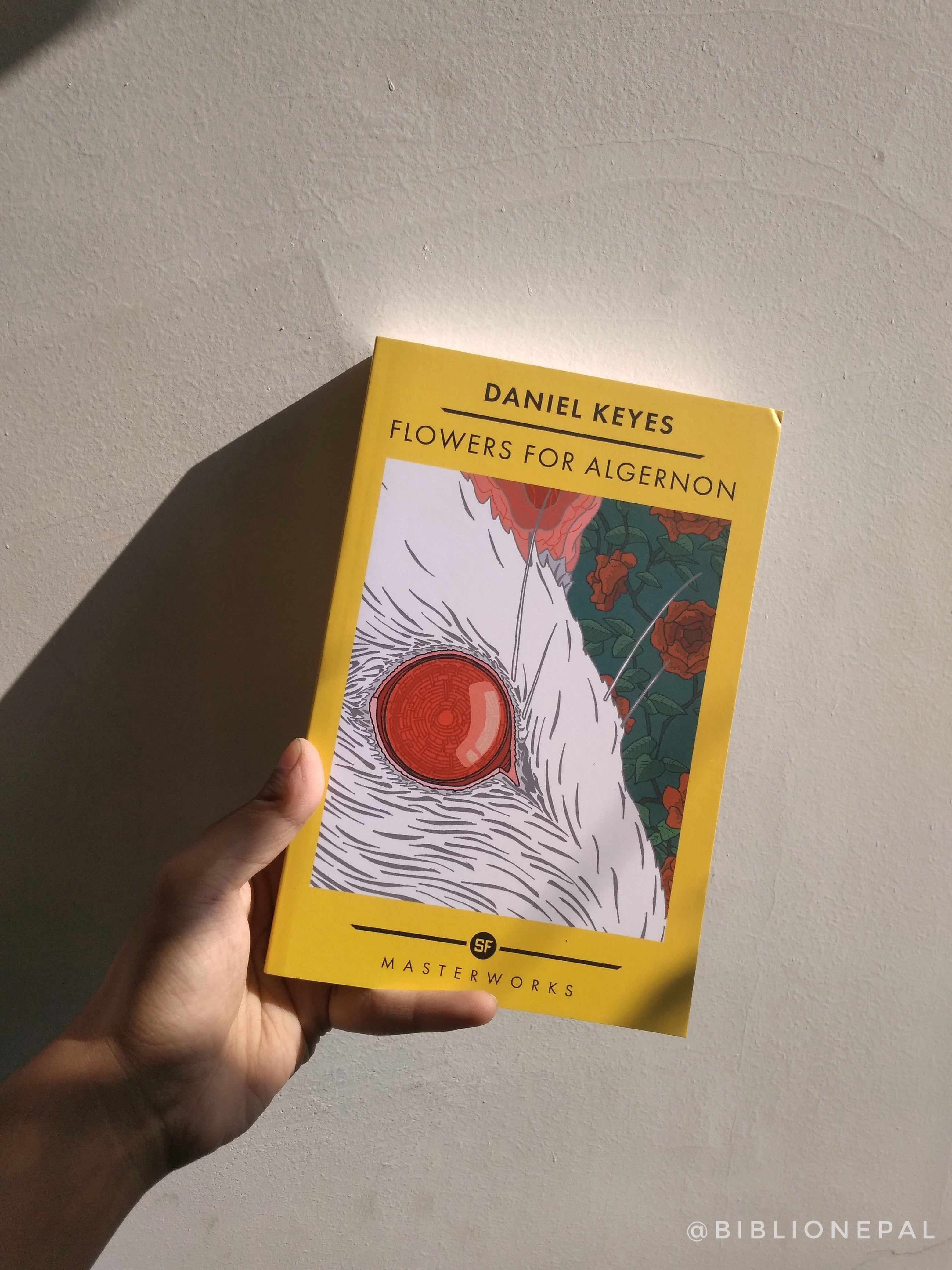 Flowers For Algernon Hachette