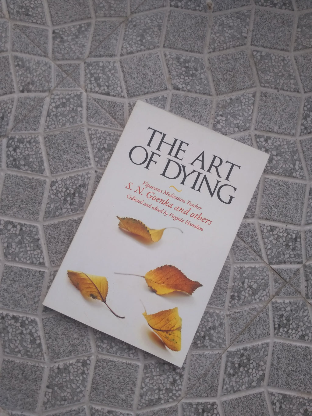 The Art Of Dying BIBLIONEPAL