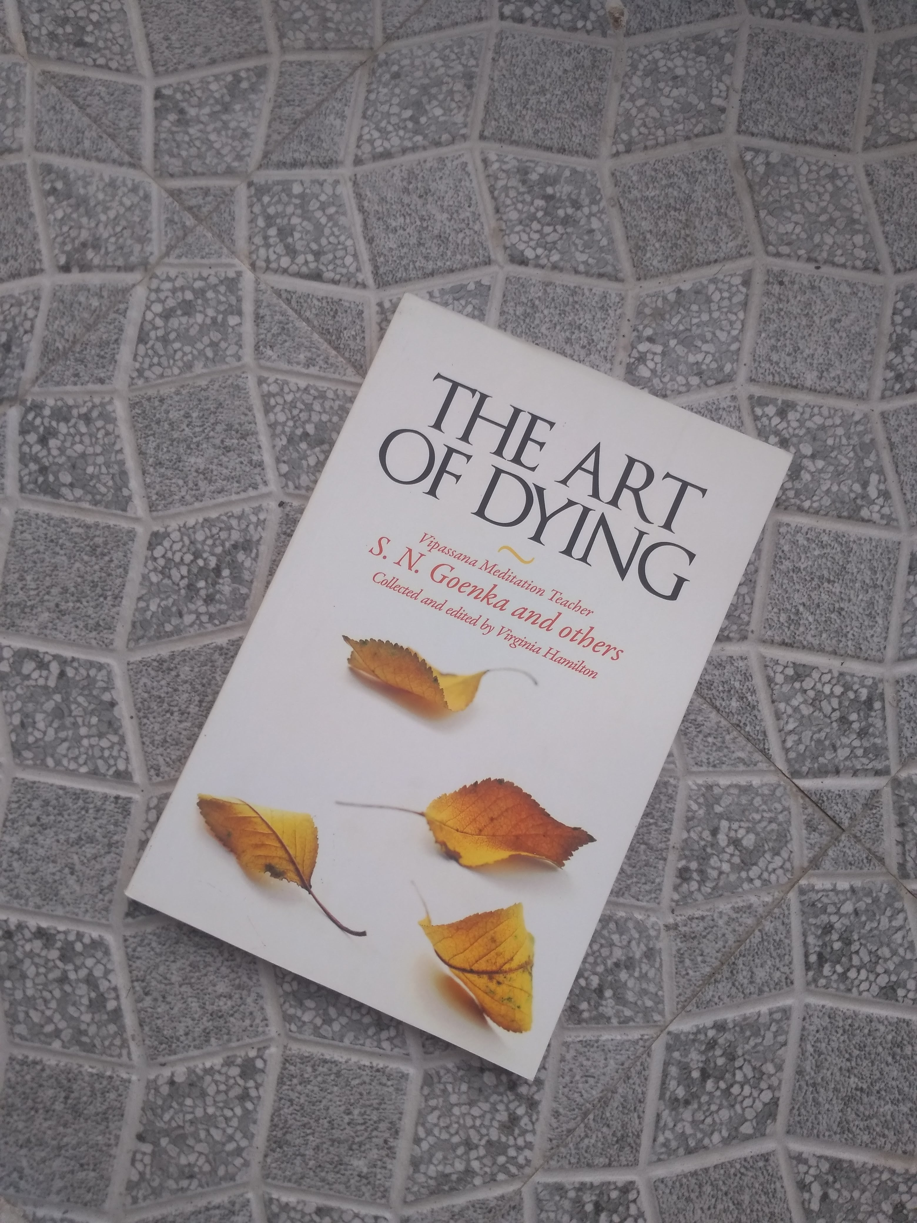 The Art Of Dying BIBLIONEPAL