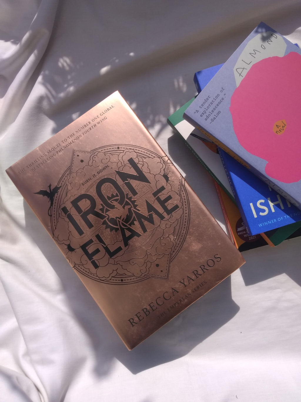 Iron Flame Brown Book Group