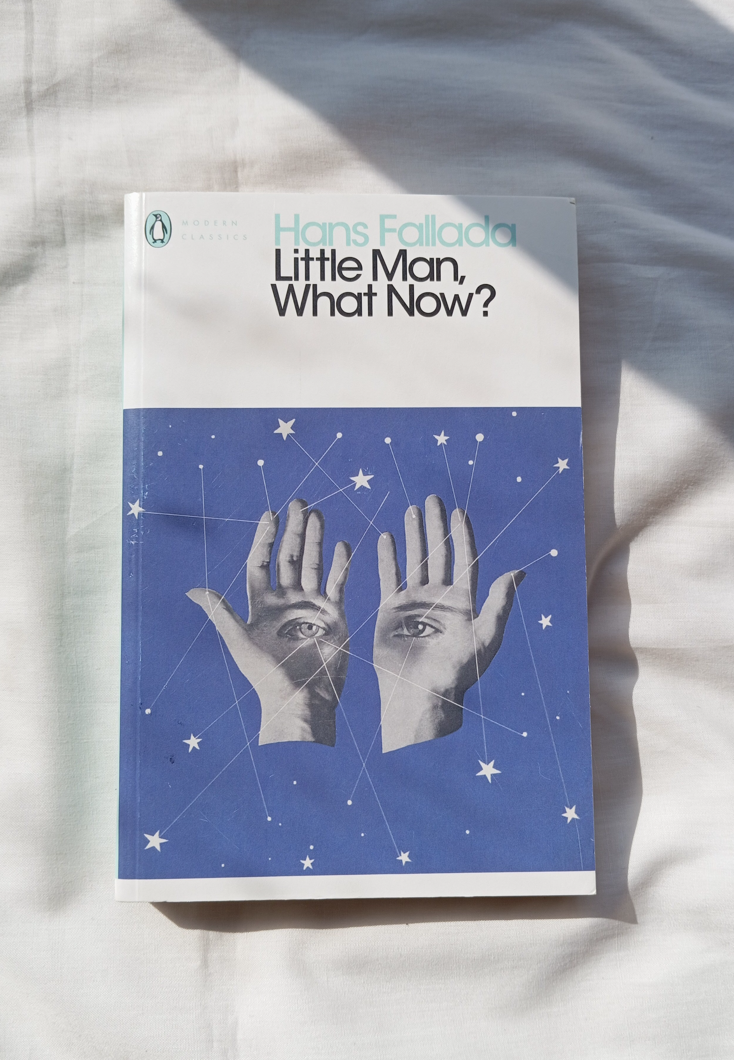 Little Man, What Now? BIBLIONEPAL