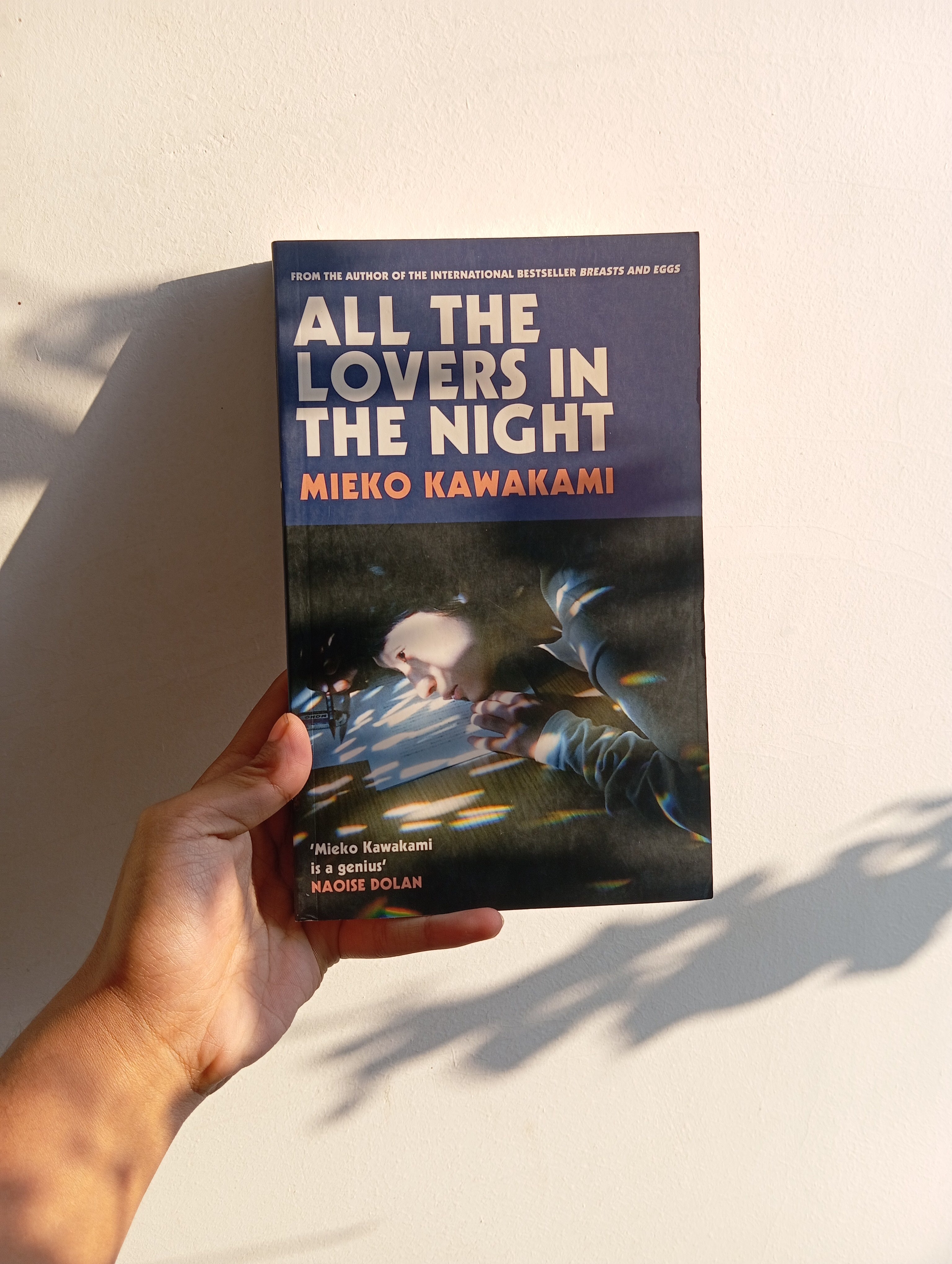All the Lovers in the Night Pan MacMillan