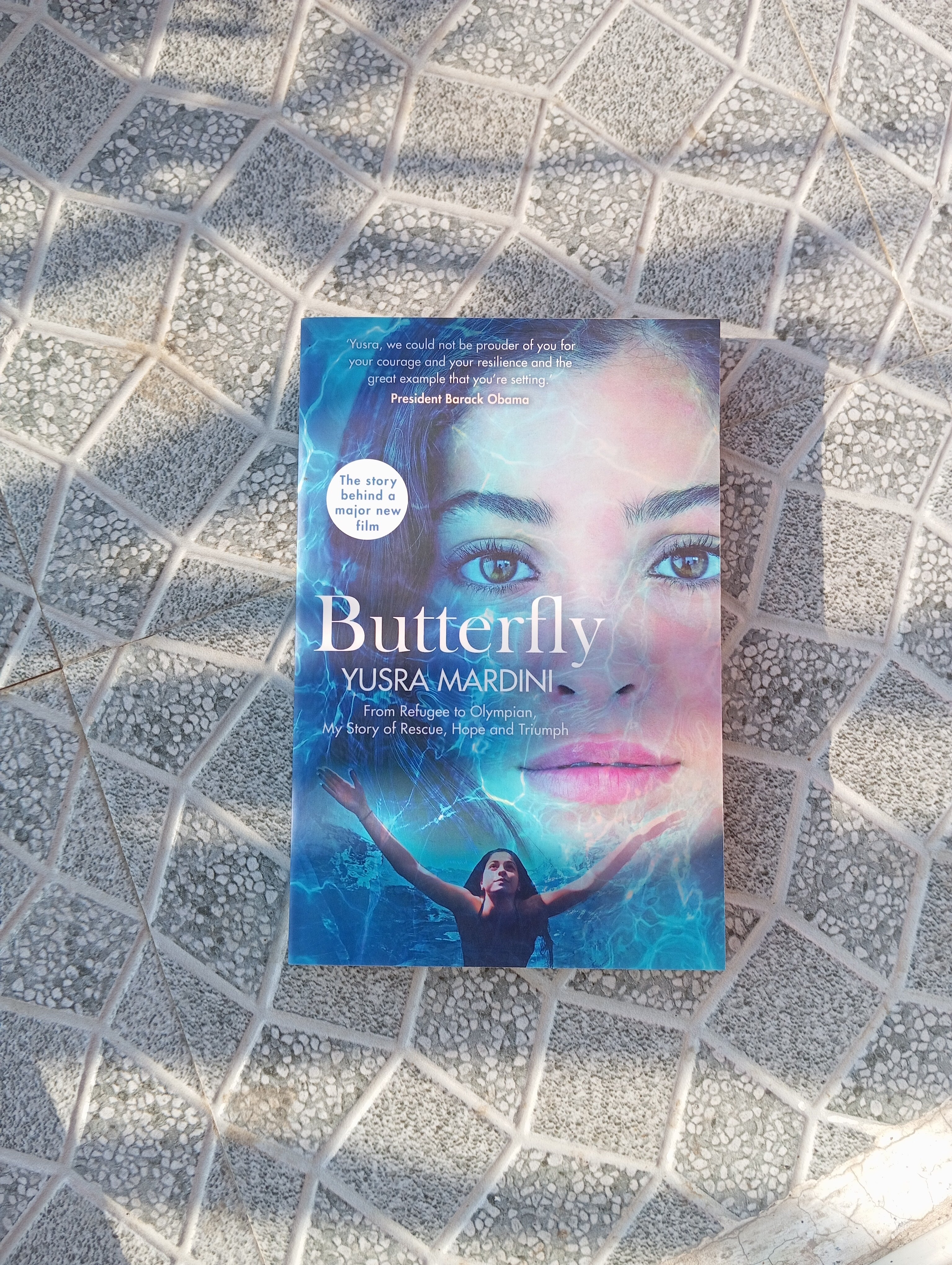 Butterfly Pan MacMillan