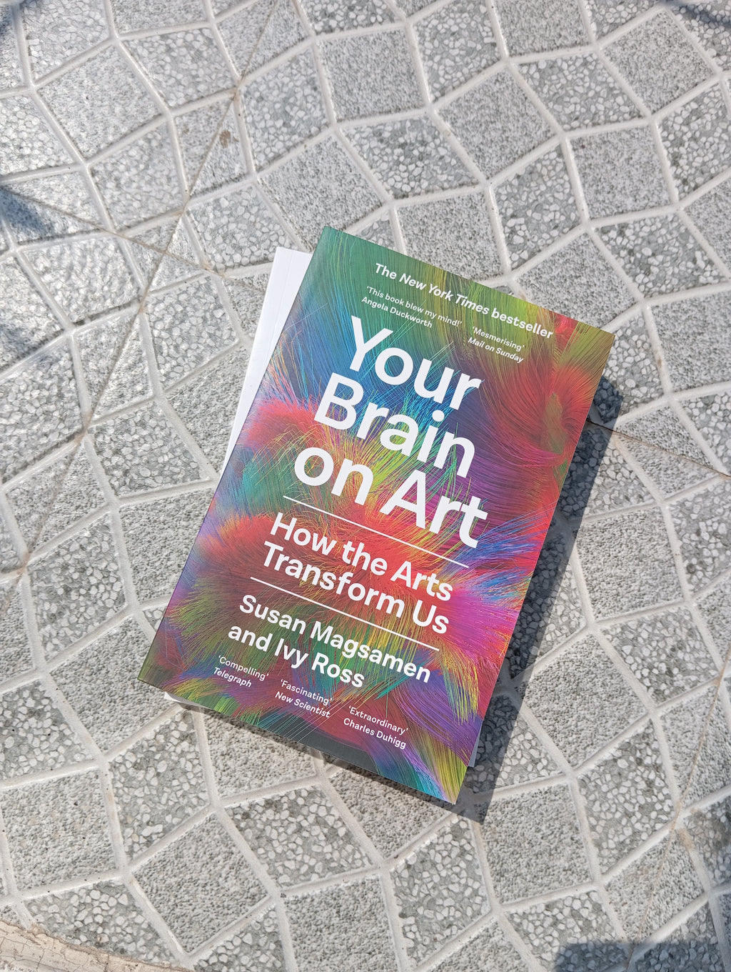 Your Brain on Art BIBLIONEPAL