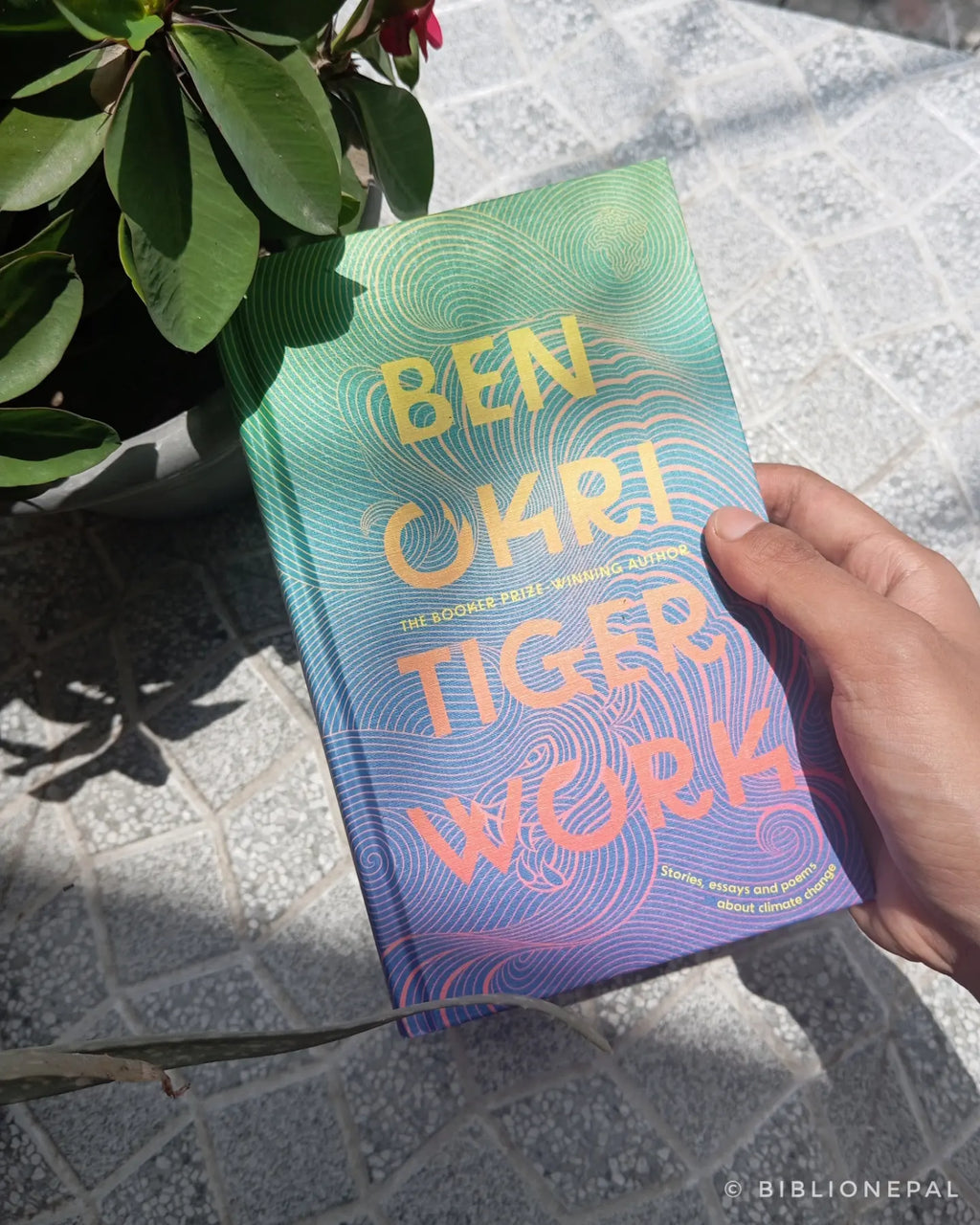 Tiger Work Head of Zeus