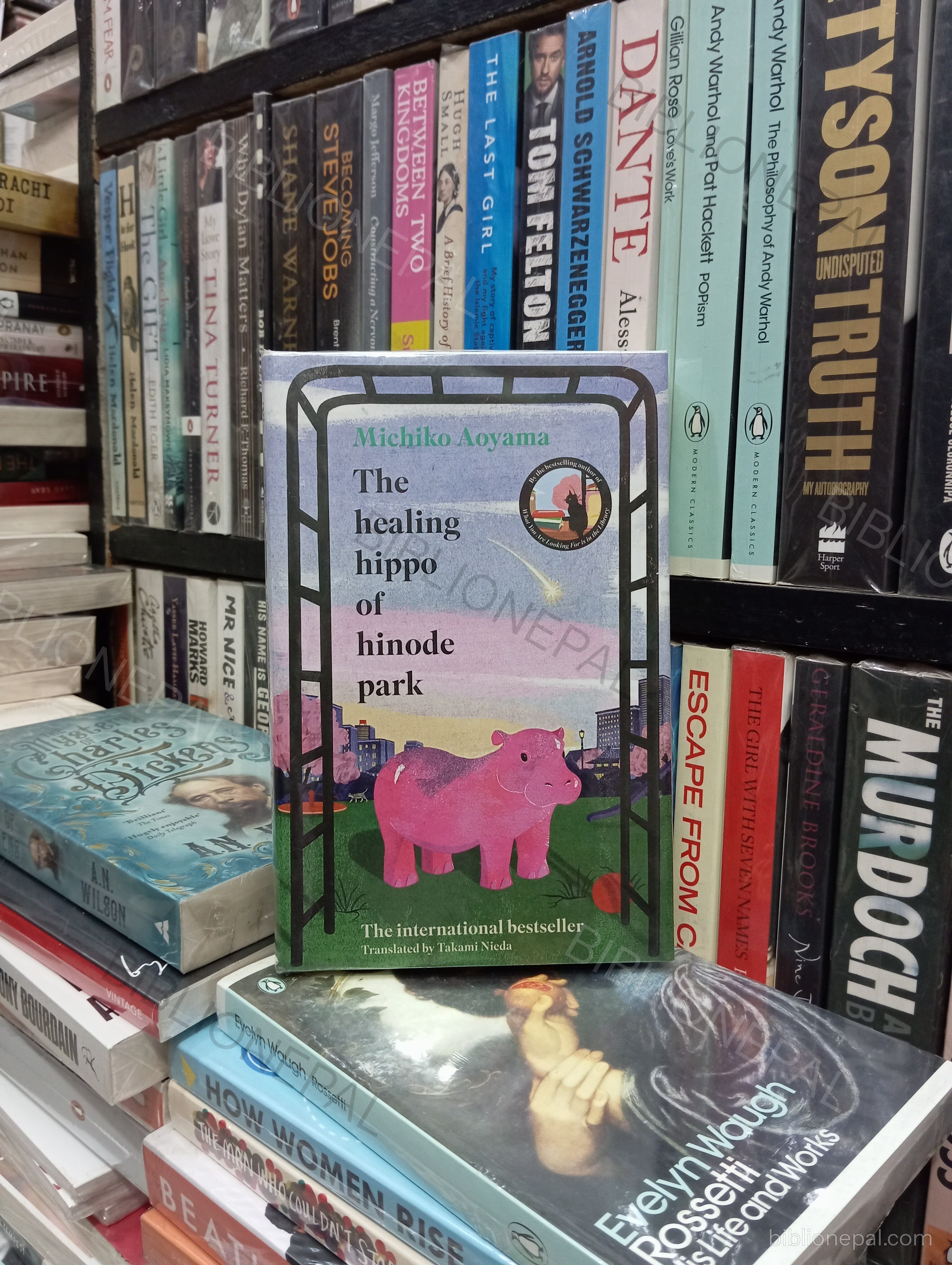 Photoshoot of The healing hippo of hinode park by Michiko Aoyama | IMG_20260417_143918.jpg