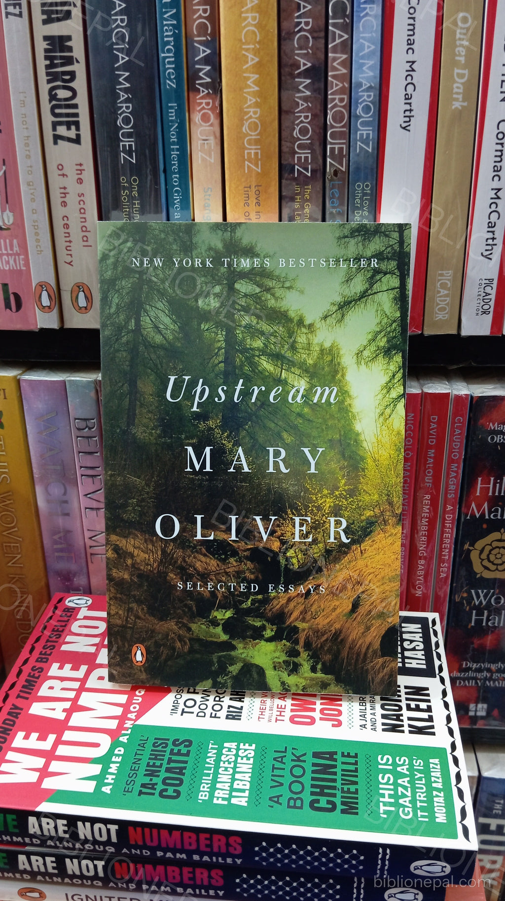 Photoshoot of Upstream by Mary Oliver | IMG_20260602_161706.jpg