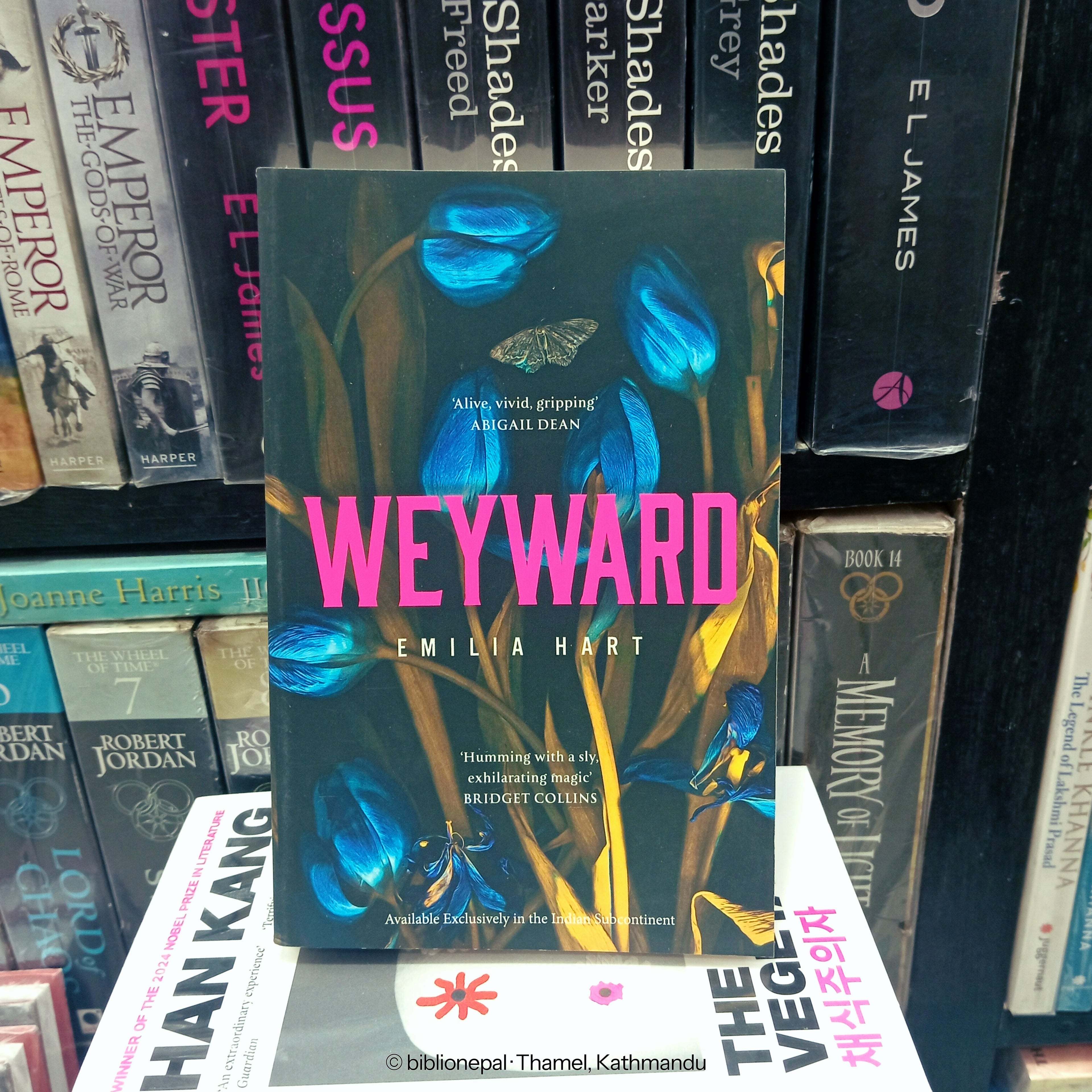 Photoshoot of Weyward by Emilia Hart | InShot_20251129_175914781.jpg