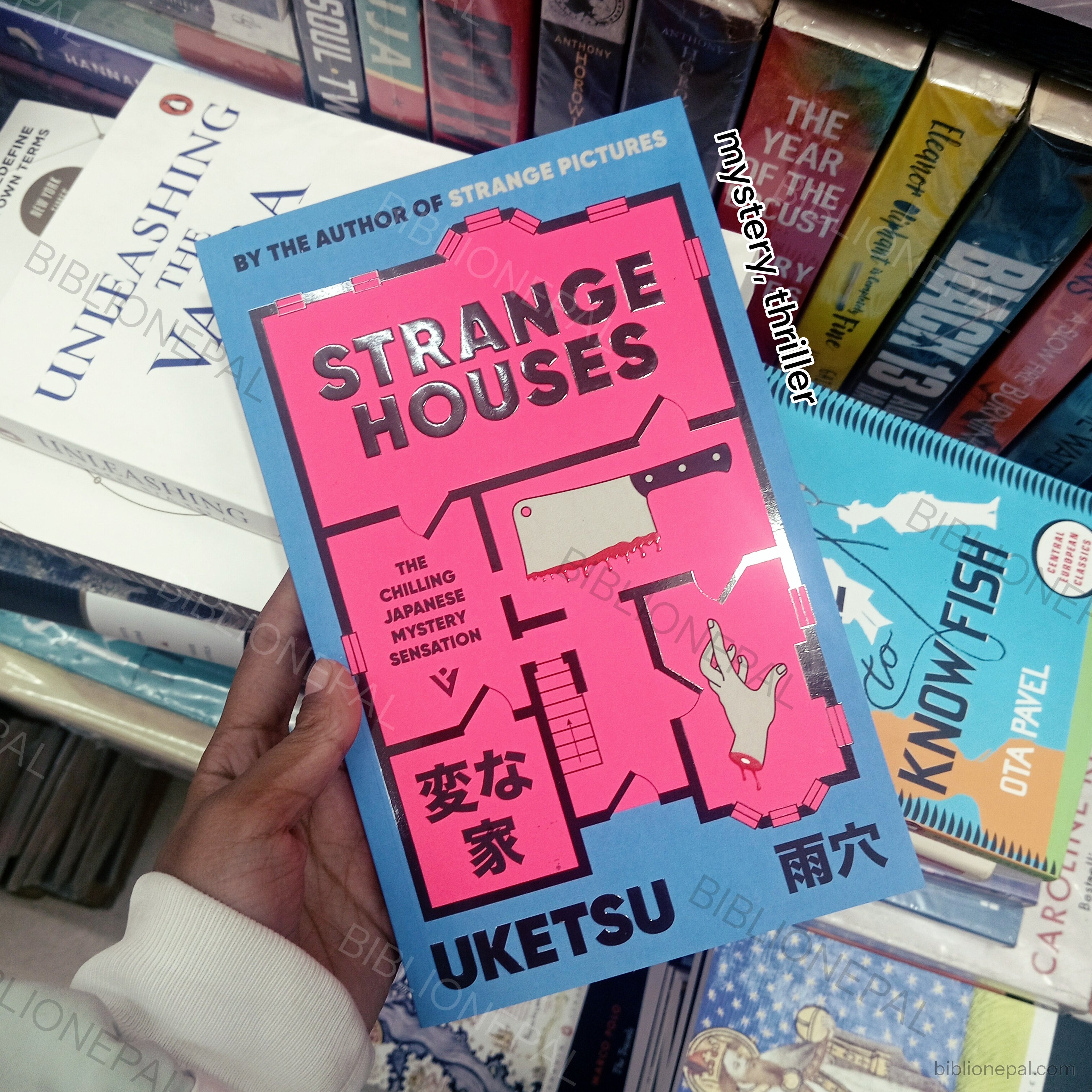 Photoshoot of Strange Houses by Uketsu | InShot_20251227_191633794.jpg