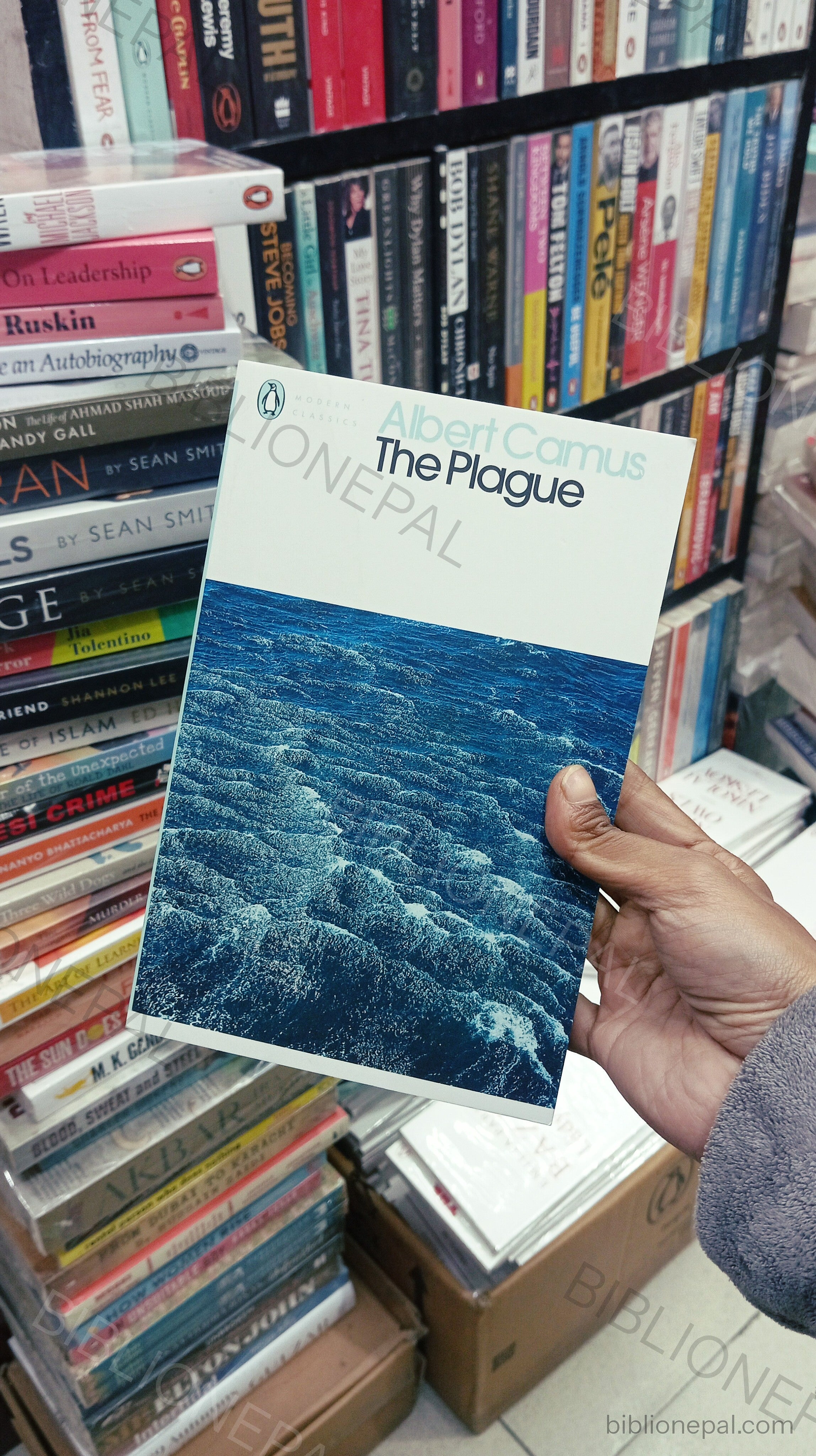 Photoshoot of The Plague by Albert Camus | InShot_20260119_182343343.jpg