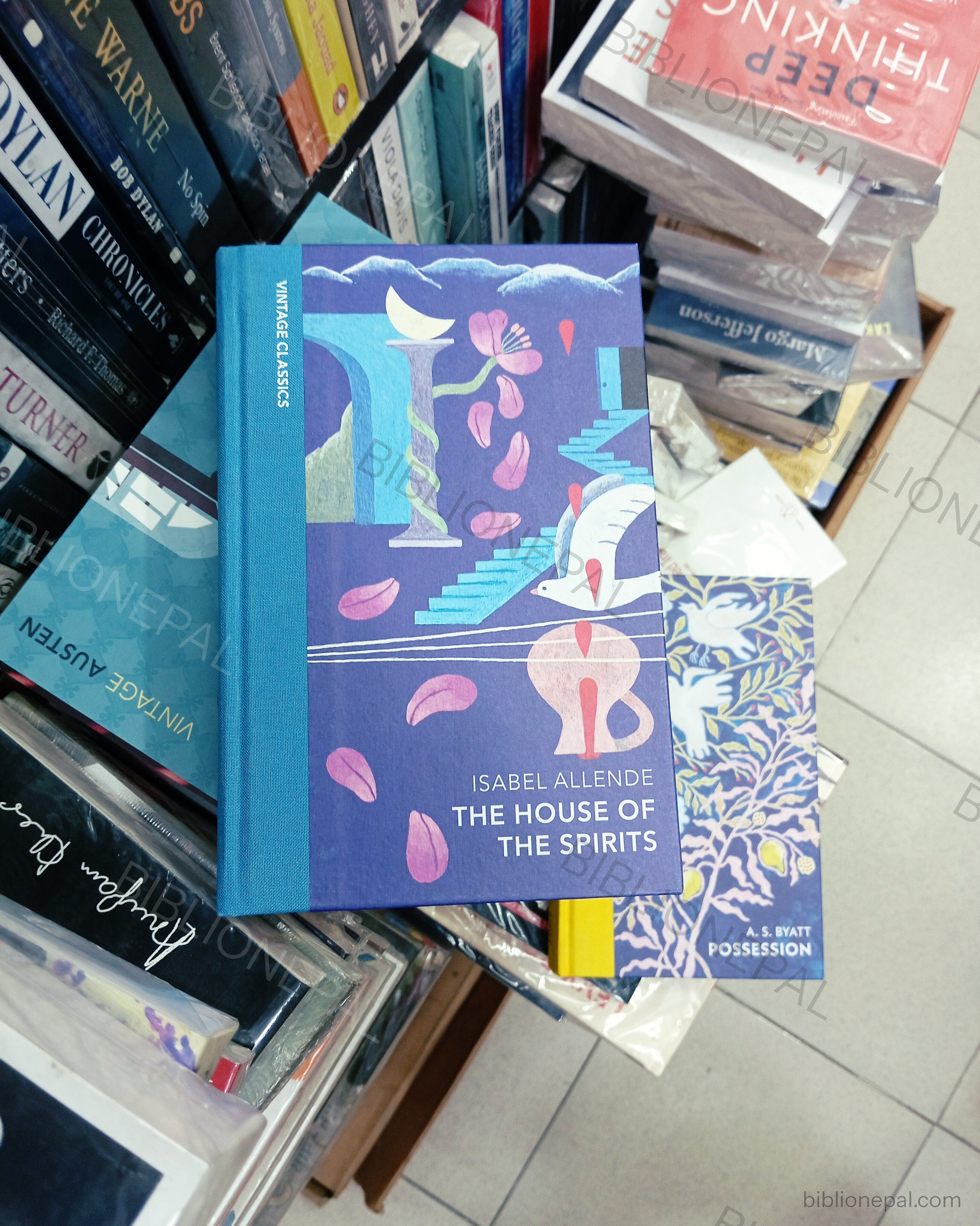 Photoshoot of The House of the Spirits by Isabel Allende | InShot_20260218_185943346.jpg