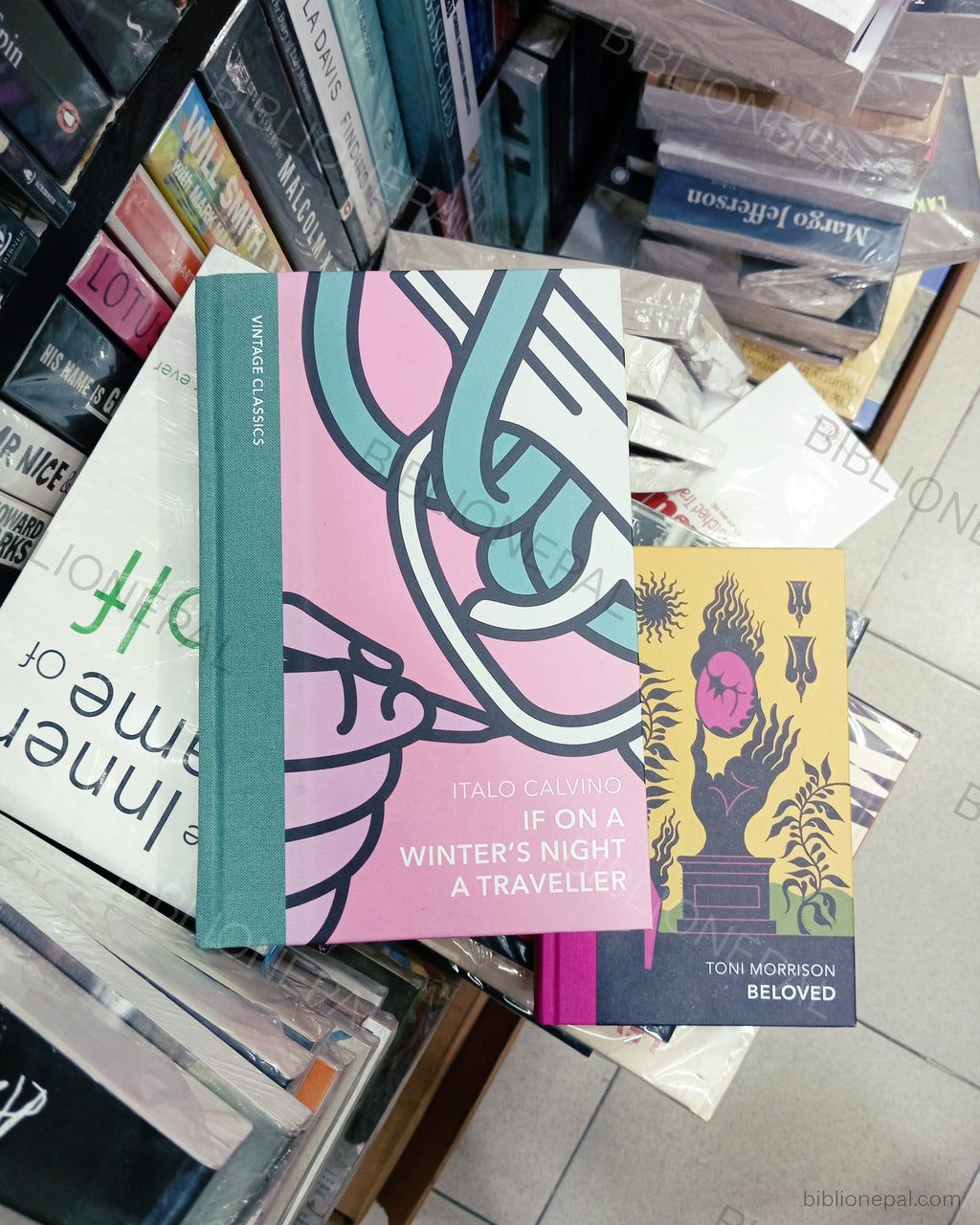 Photoshoot of If on a Winter's Night a Traveller by Italo Calvino | InShot_20260218_190140577.jpg