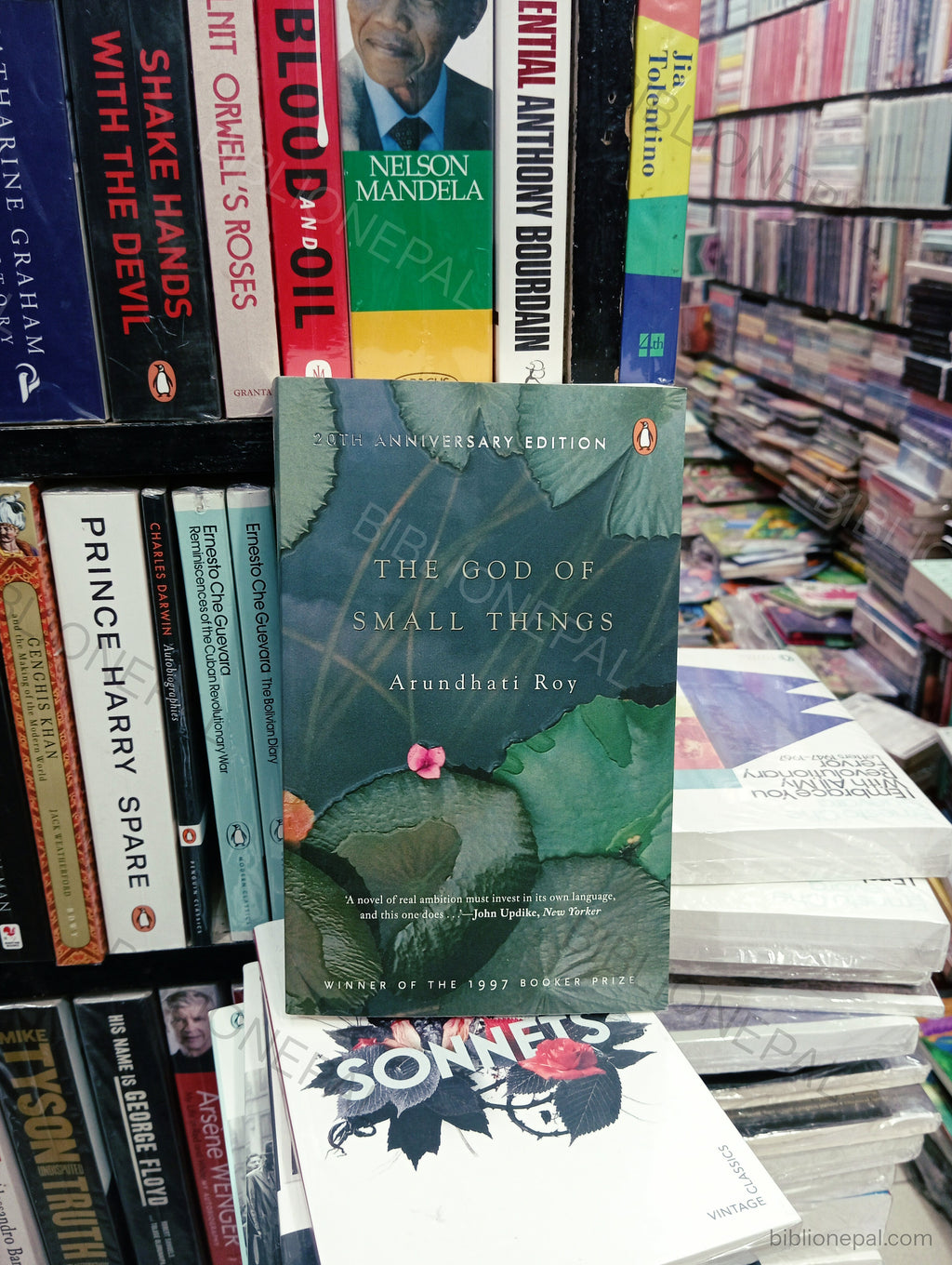 Photoshoot of The God of Small Things by Arundhati Roy | InShot_20260313_185105761.jpg