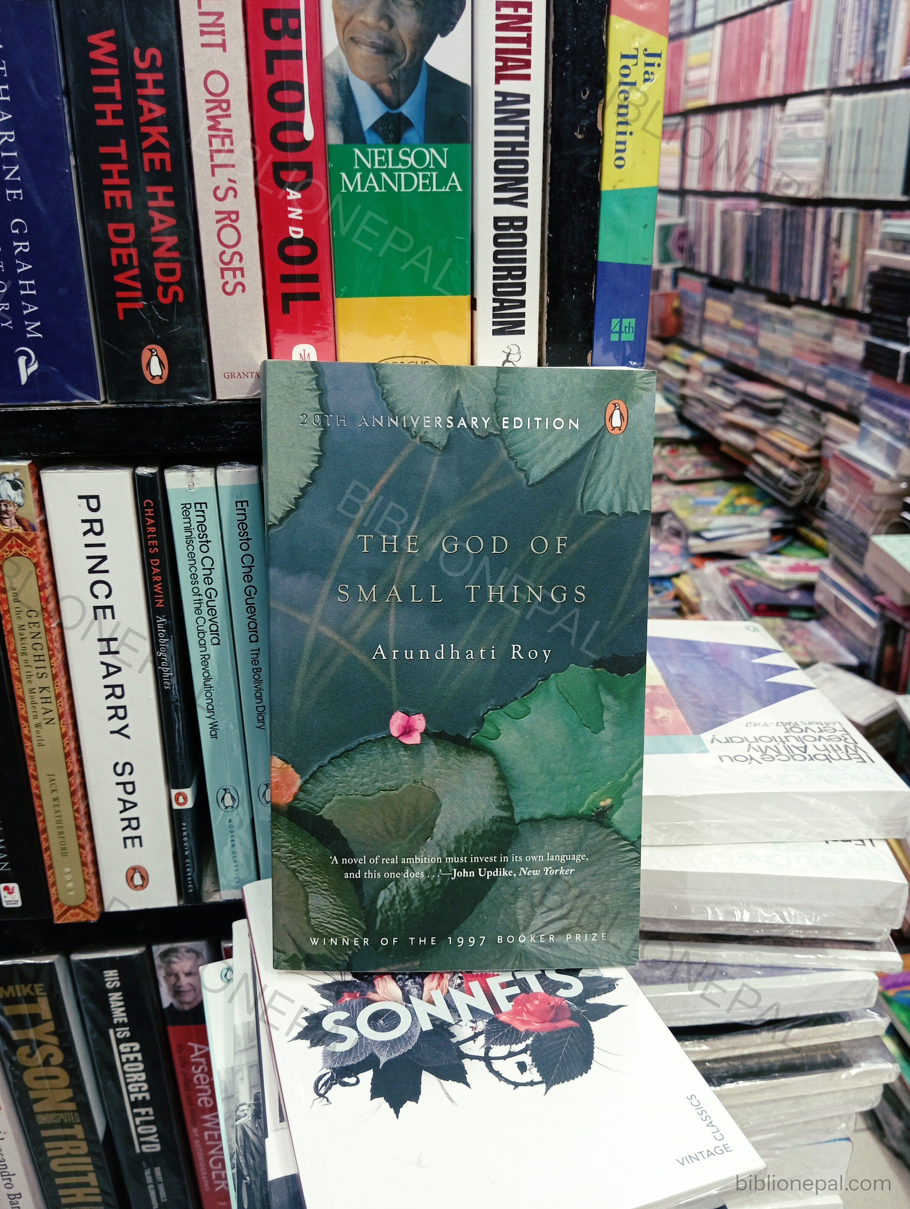 Photoshoot of The God of Small Things by Arundhati Roy | InShot_20260313_185105761.jpg