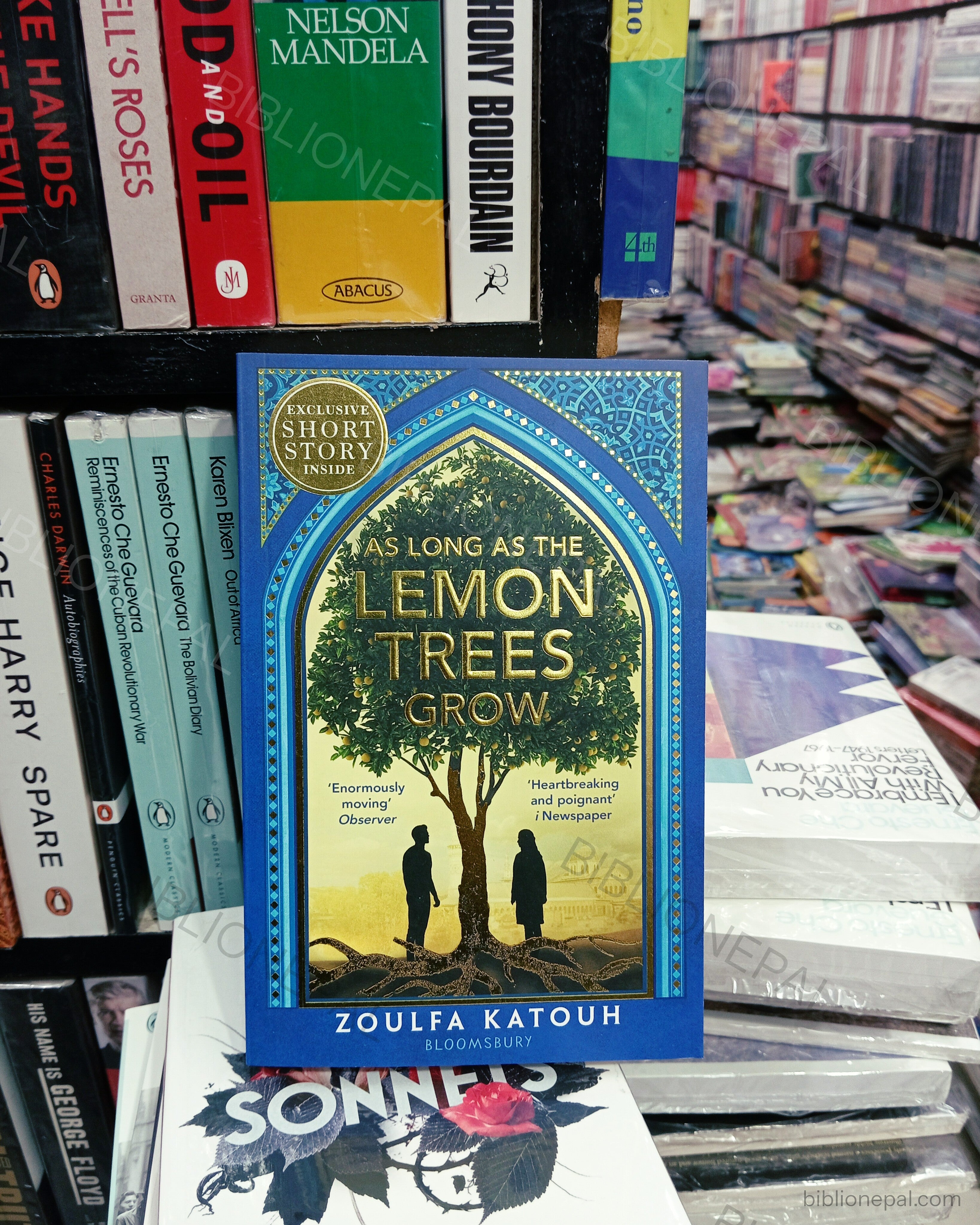 Photoshoot of As Long as the Lemon Trees Grow by Zoulfa Katouh | InShot_20260313_185439915.jpg