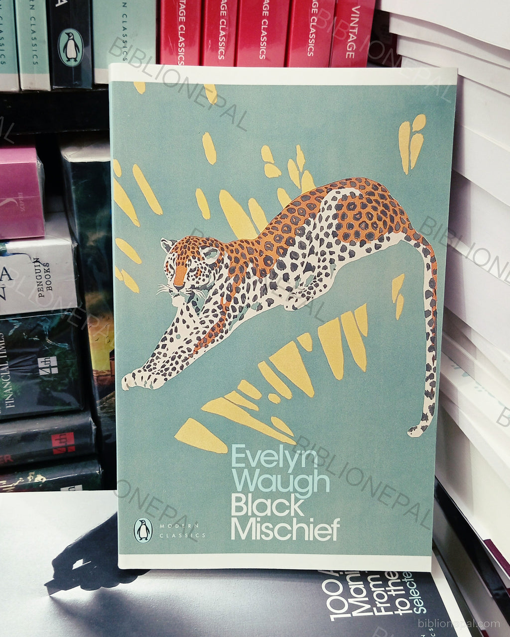 Photoshoot of Black Mischief by Evelyn Waugh | InShot_20260331_181230964.jpg