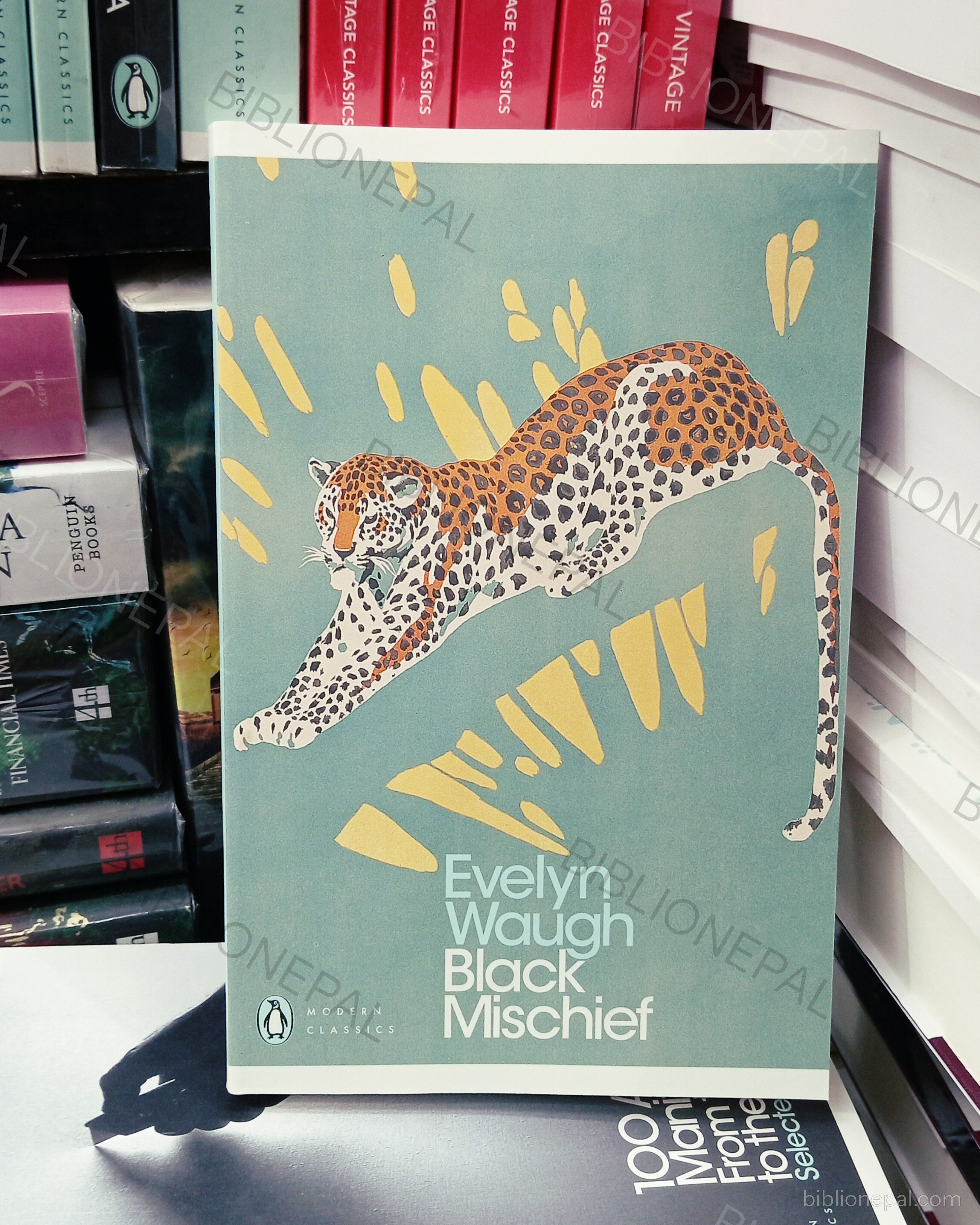 Photoshoot of Black Mischief by Evelyn Waugh | InShot_20260331_181230964.jpg