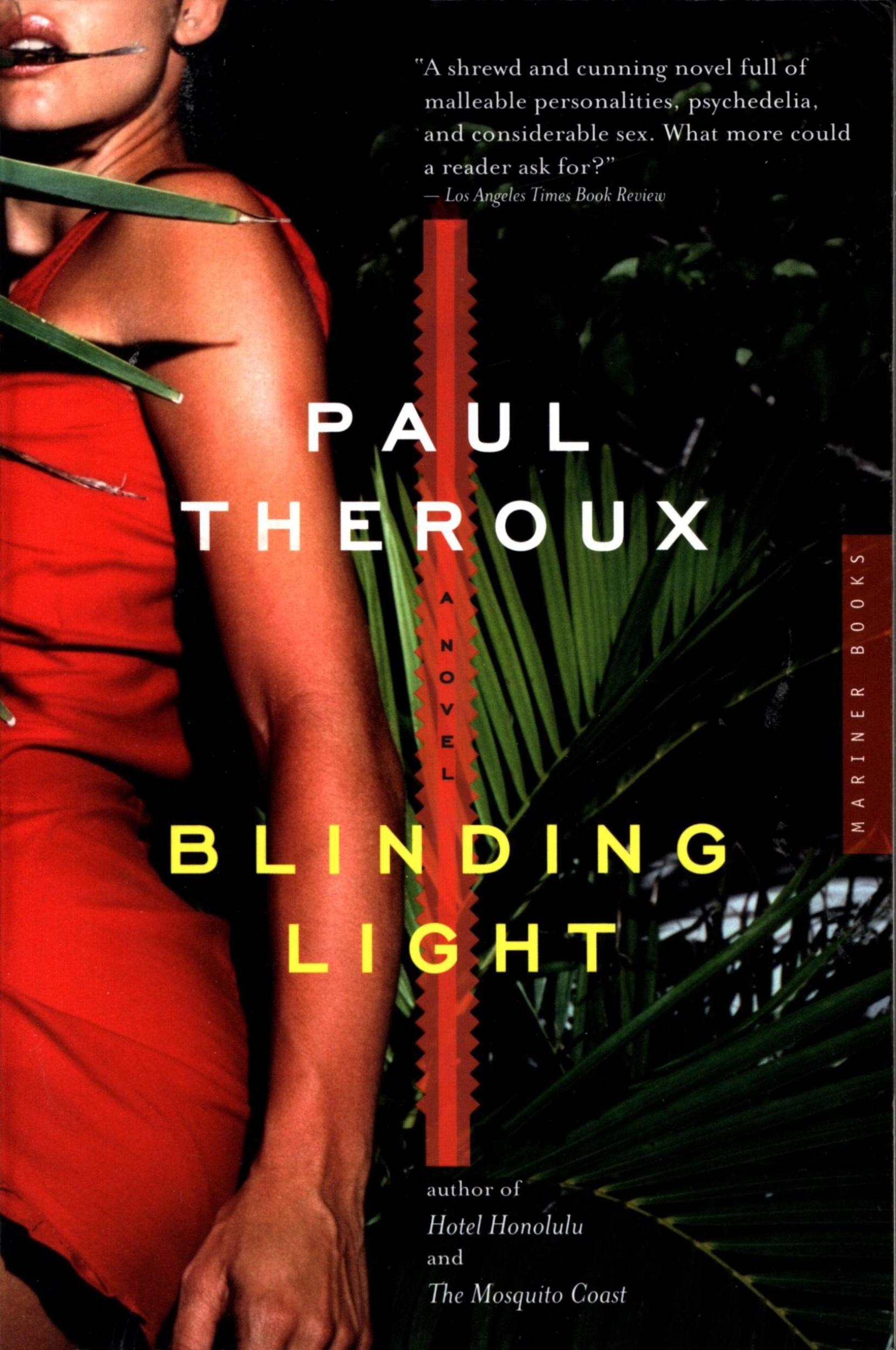 Blinding Light by Paul Theroux - 9780618711963 - Book Cover