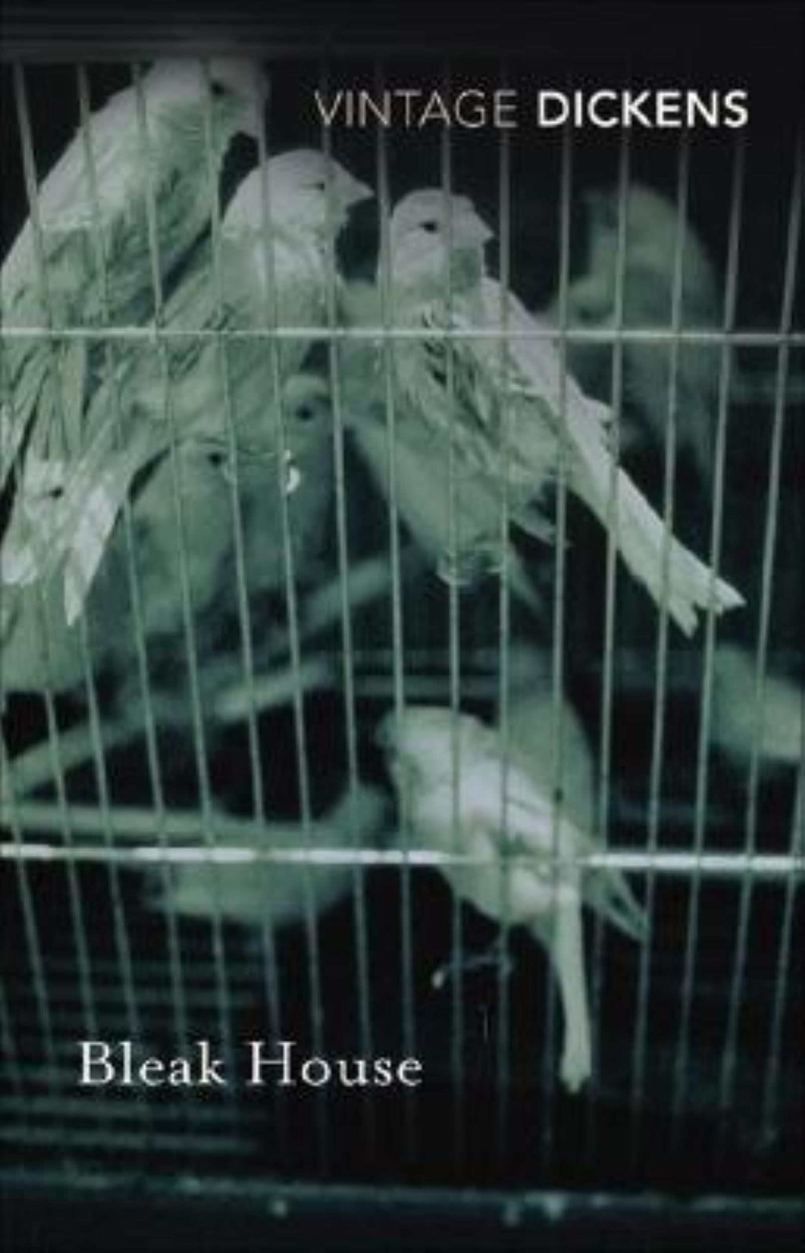 Bleak House by Charles Dickens - 9780099511458 - Book Cover