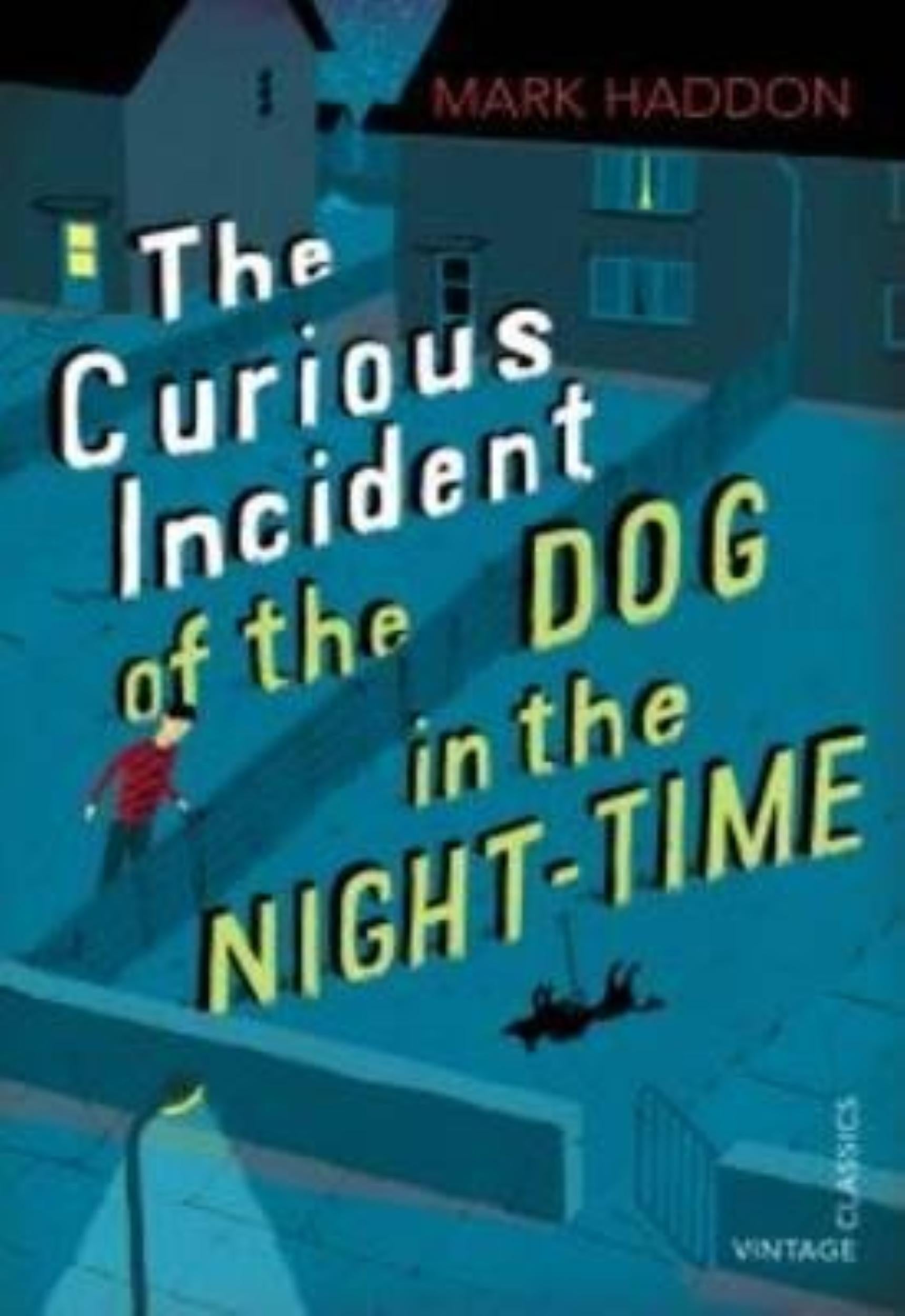 The Curious Incident of the Dog in the Night-Time by Mark Haddon - 9780099572831 - Book Cover