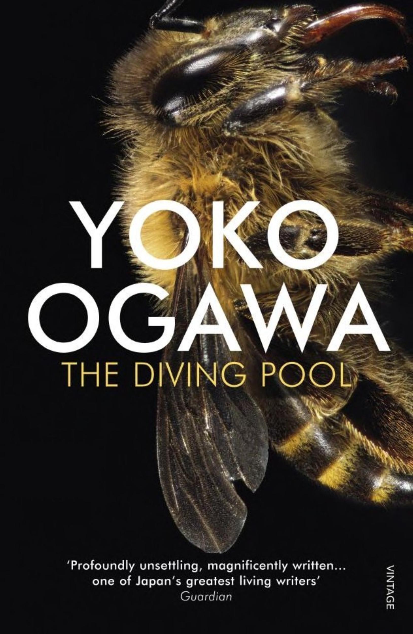 The Diving Pool by Yoko Ogawa - 9780099521358 - Book Cover