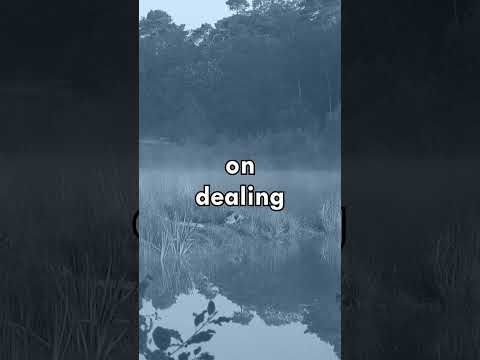 Accepting Our Circumstances | The Philosophy of Marcus Aurelius -- Einzelganger