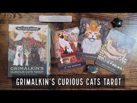 Grimalkin's Curious Cats Tarot Tarot Cards Hay House LLC