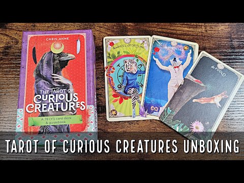 The Tarot of Curious Creatures Tarot Cards Hay House LLC