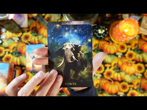 Soul Coaching Oracle Cards